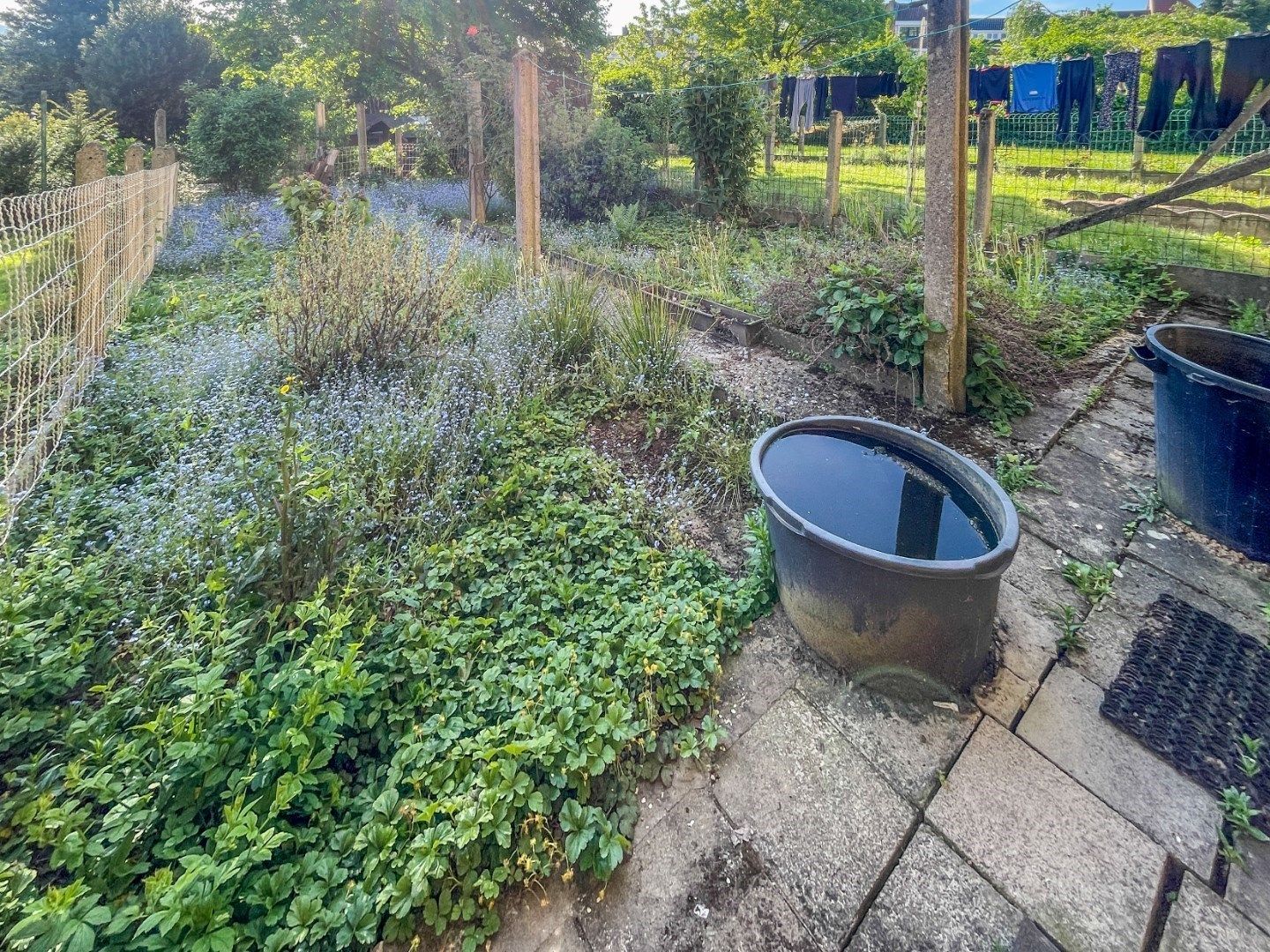 OPBRENGSTEIGENDOM MET 2 APP, GARAGE, TERASSEN & TUIN ! foto 19