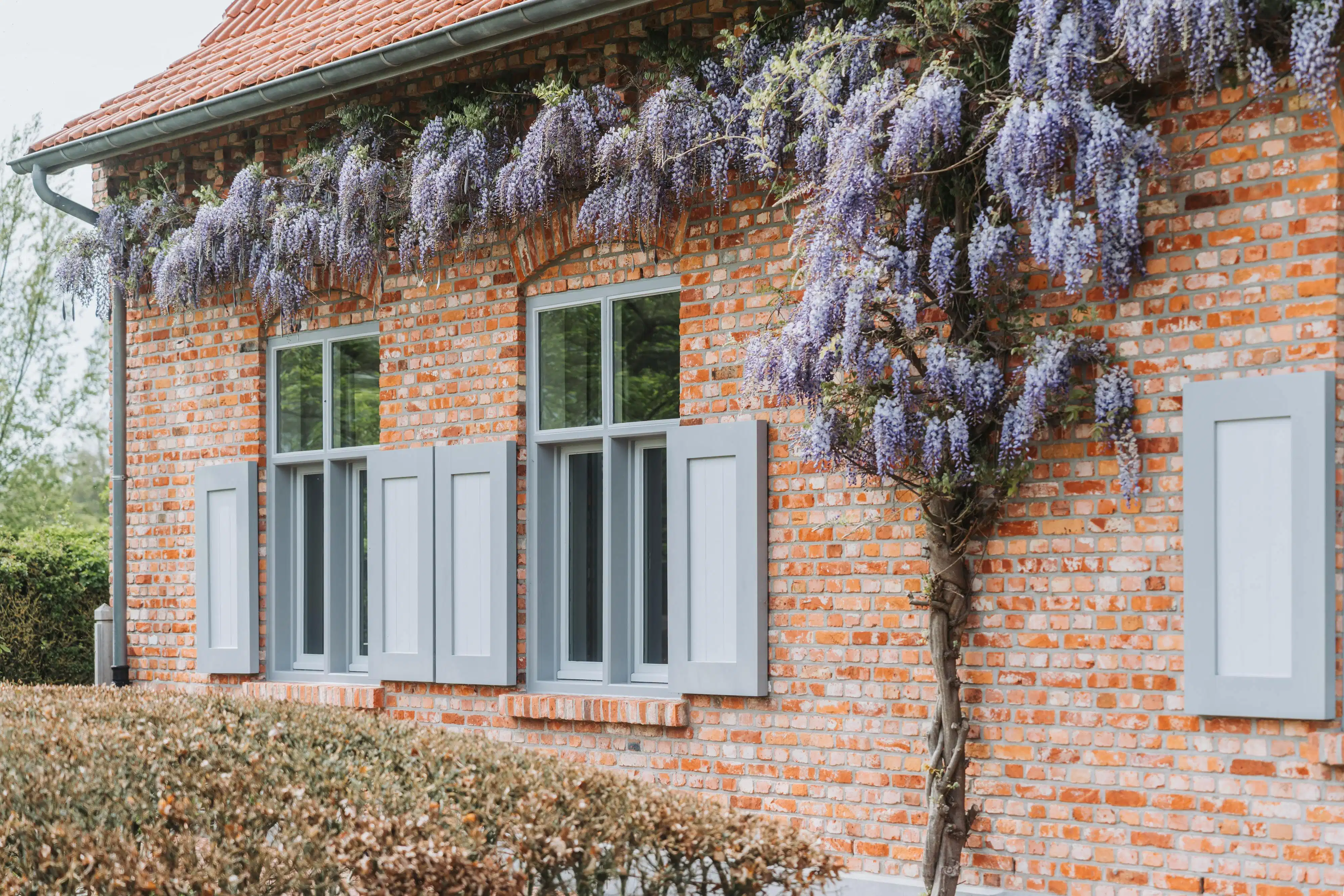 Uitzonderlijk landhuis te koop in Heuvelland op 1HA foto 9