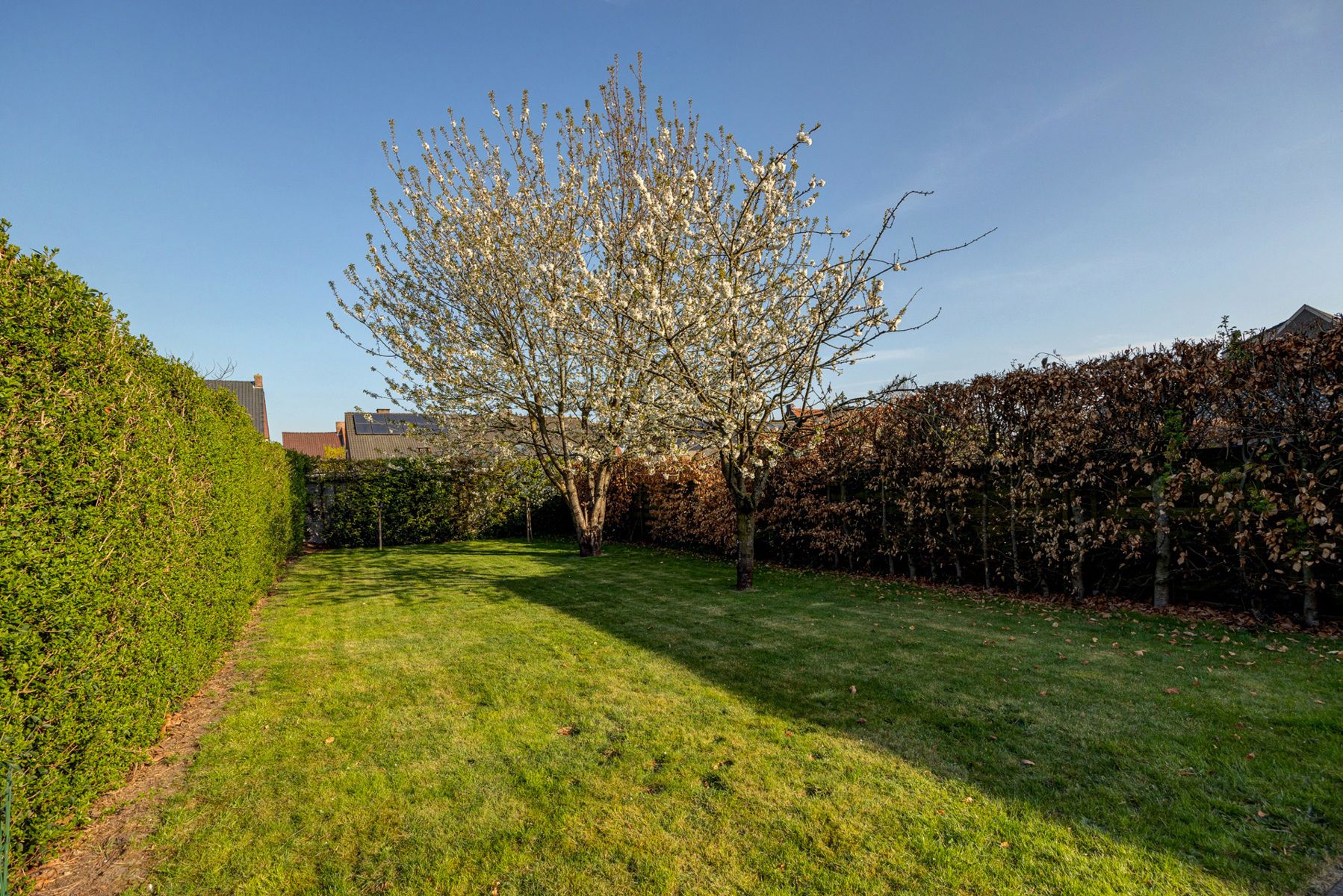 IN OPTIE. Gezinswoning met 4 slpks en tuin in Rijkevorsel 674m2 grond foto 33