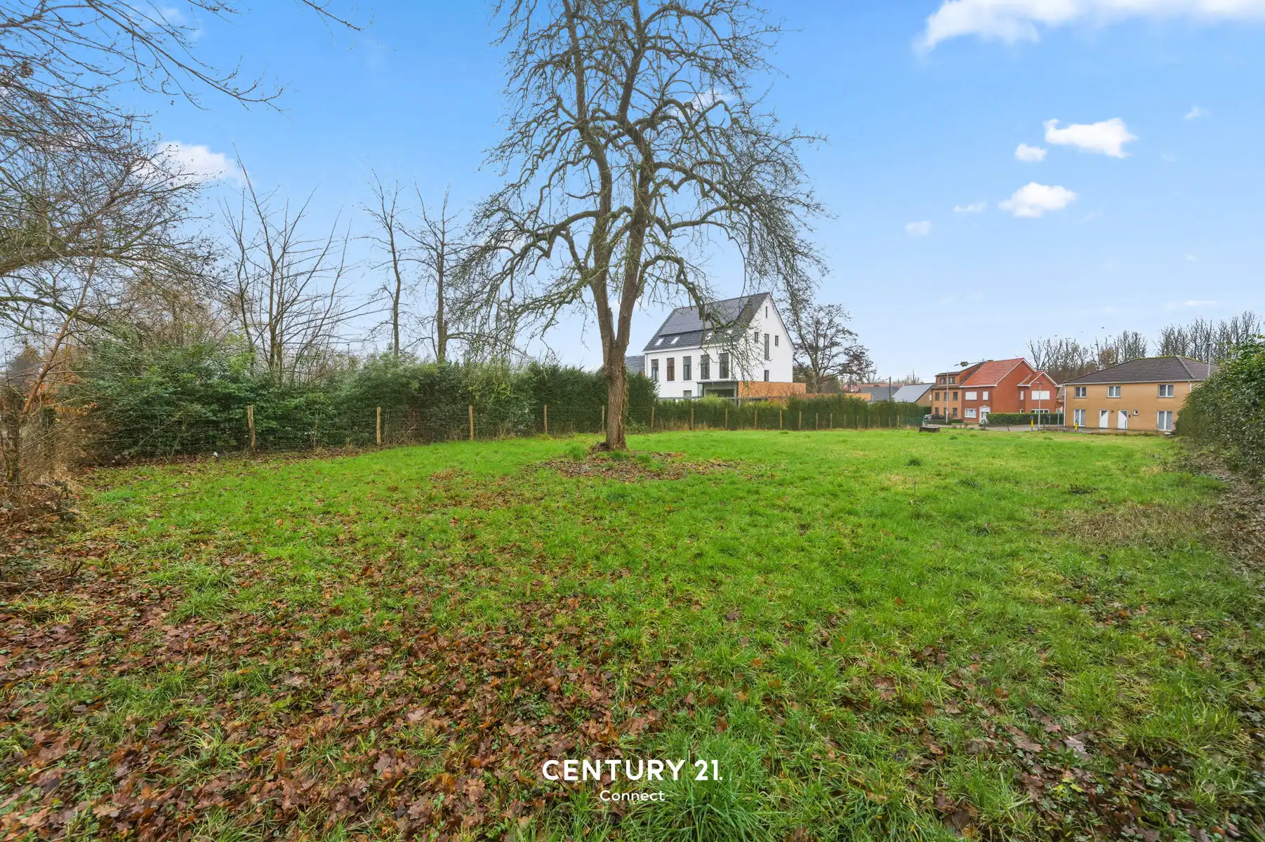 Zuid gerichte bouwgrond van 11a 24ca te Bierbeek foto 9