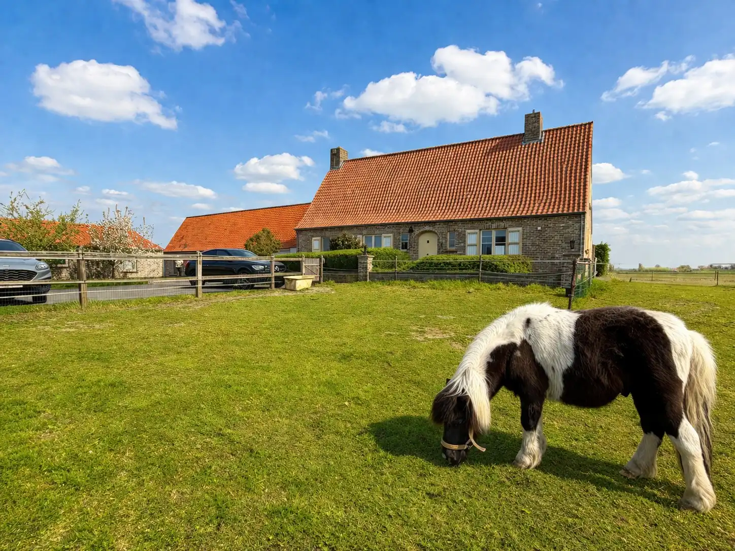 Een buitenkans voor paardenliefhebbers foto 8