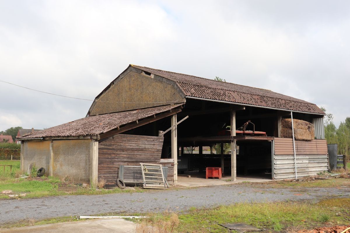 Hoevetje te koop op 1 ha te Zedelgem nabij dorpskern Veldegem foto 12