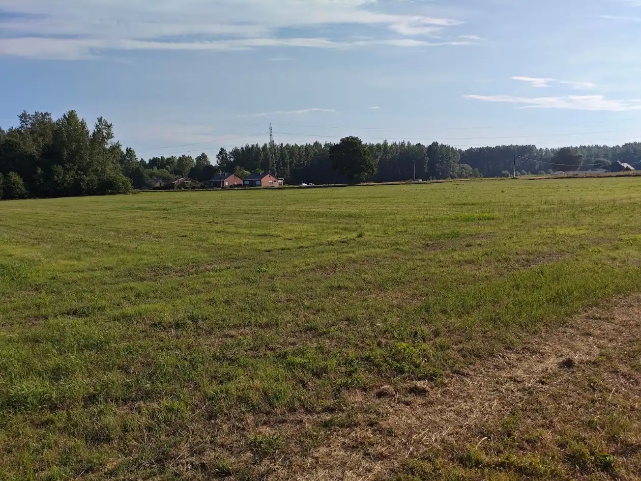 Vrije blok landbouwgrond gelegen aan de Bergestraat Holsbeek foto 4