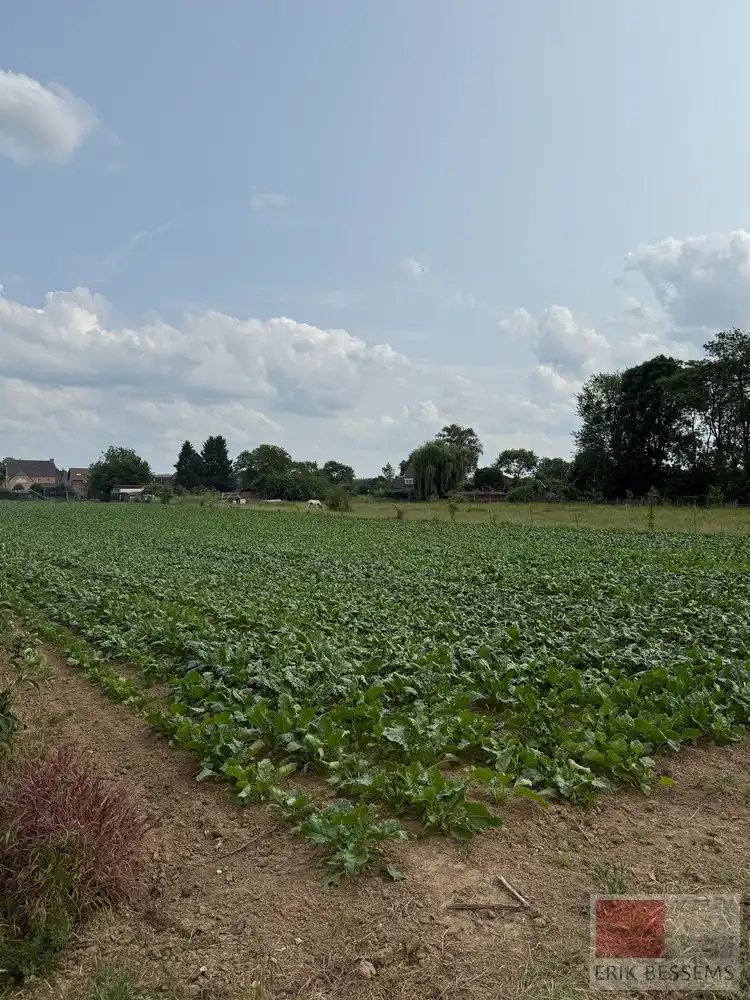 Grond te koop foto 7