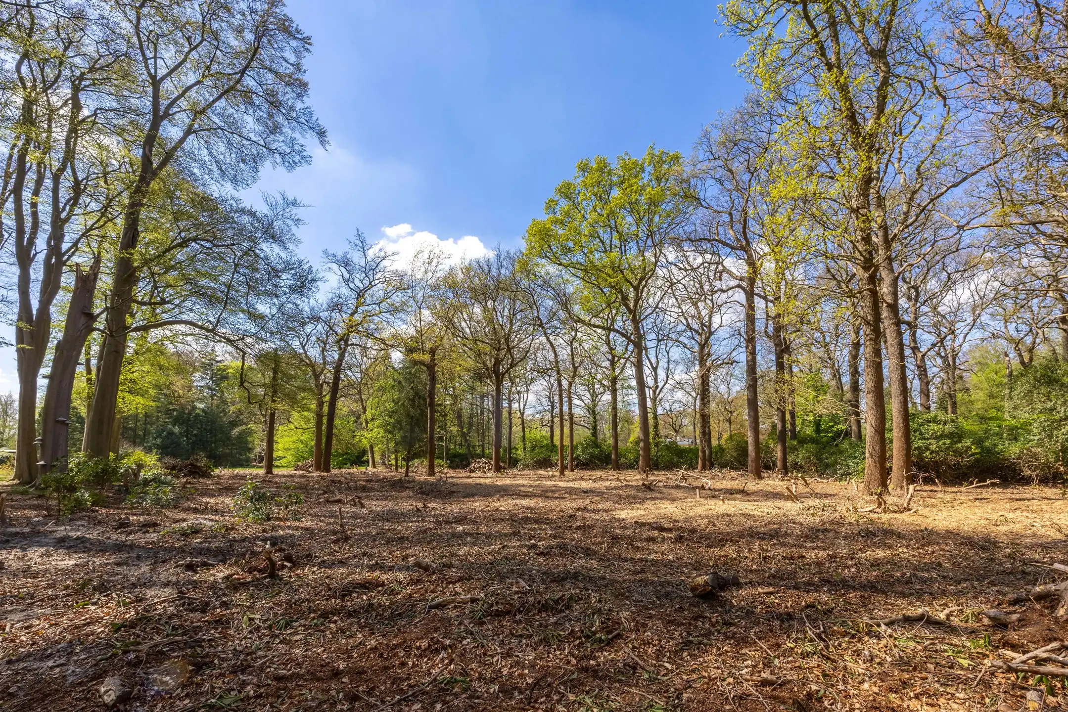 Exceptionele bouwgrond van 12.465 m² in Vriesdonk foto 18