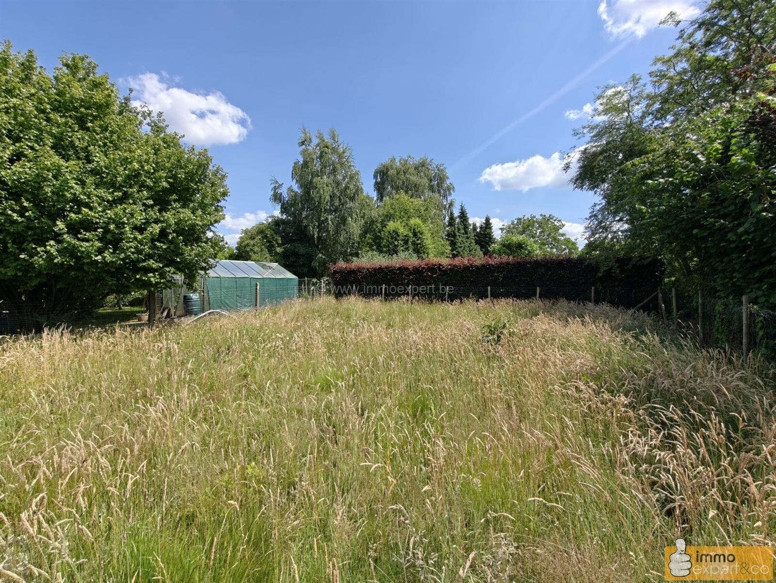BORCHTLOMBEEK: Te renoveren woning op mooi perceel foto 11