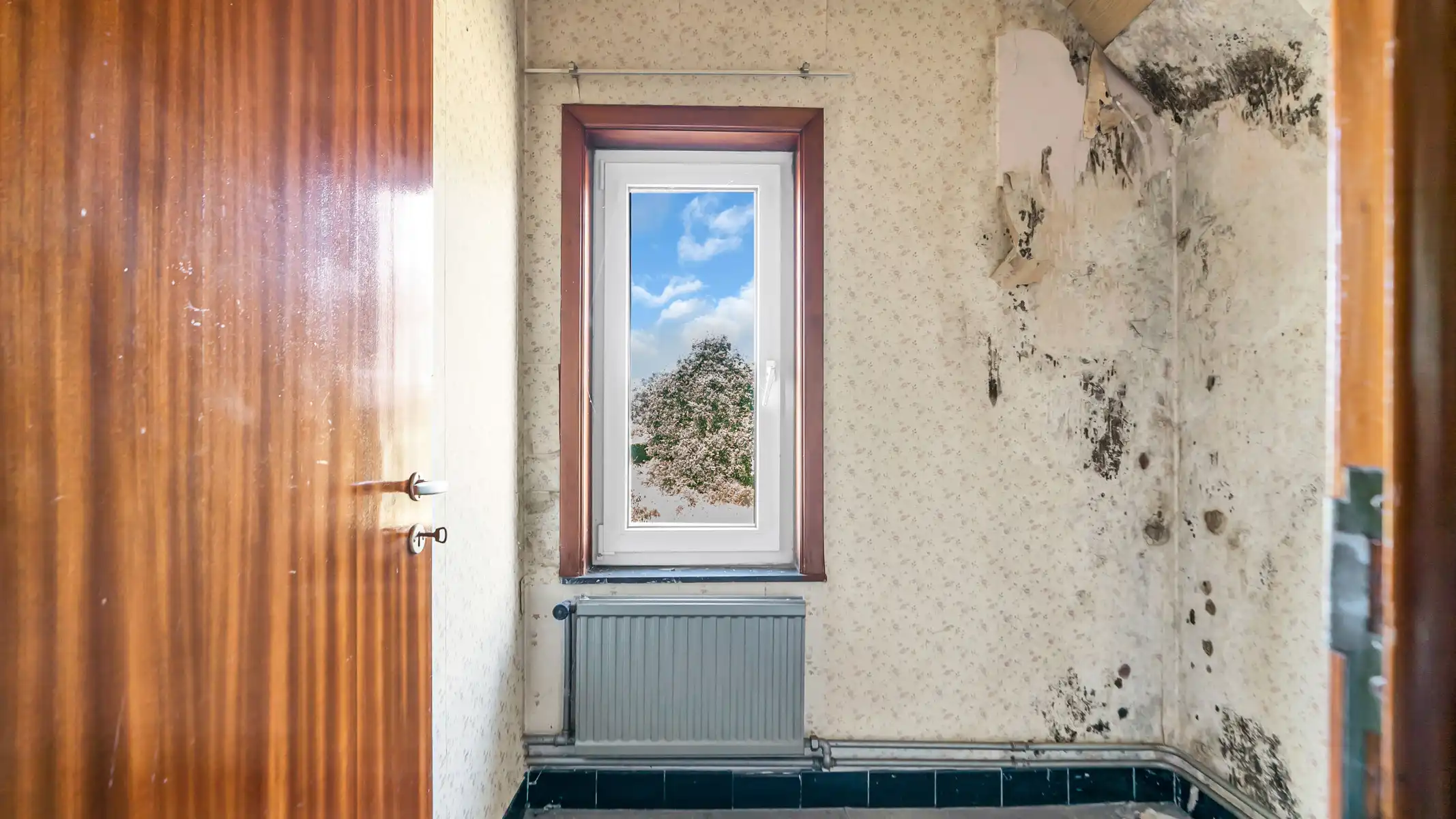 Huis te koop foto 20
