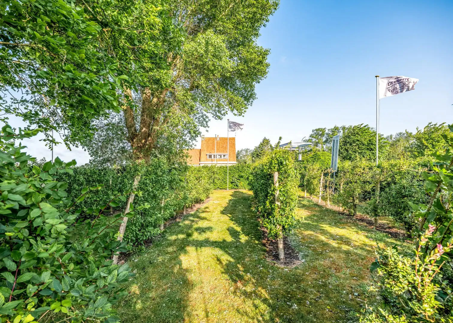 Restaurant met privéwoning en 2 B&B-kamers op 4.370 m² foto 33