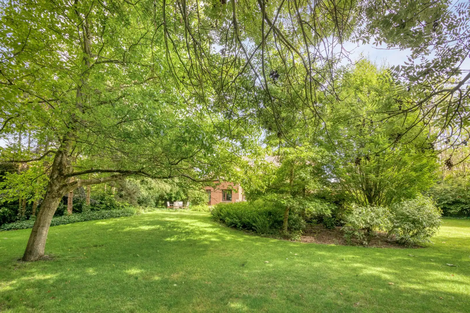 Instapklare villa met prachtige tuin op wandelafstand van het stadscentrum van Tongeren foto 2