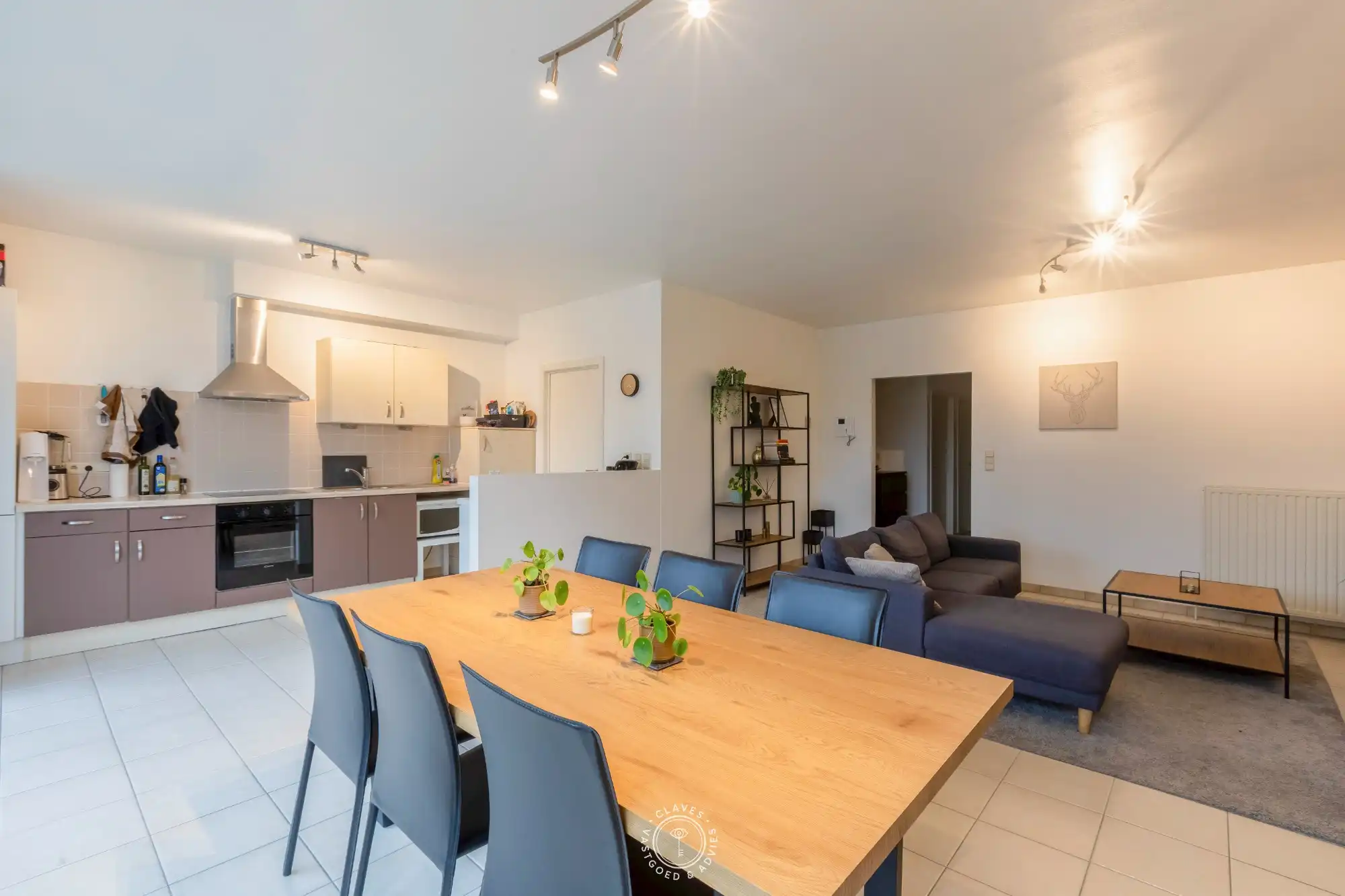 Verzorgd appartement met terras en unieke ligging aan de Schelde foto 4