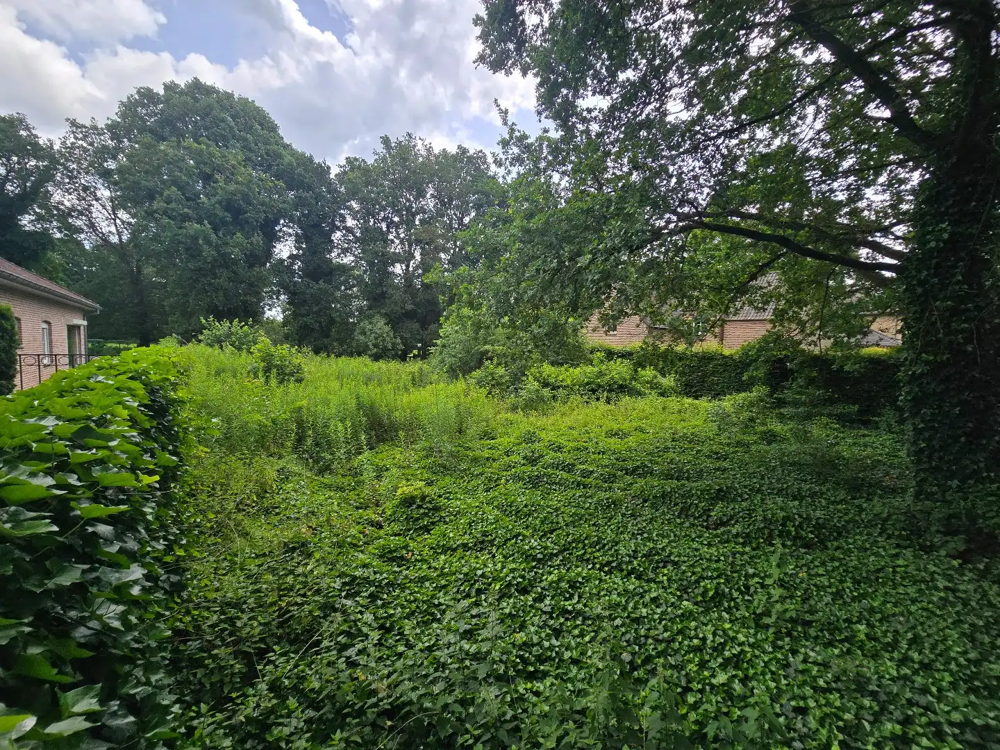 Bouwgrond voor OB, 9a16ca, met zicht op groen foto 10
