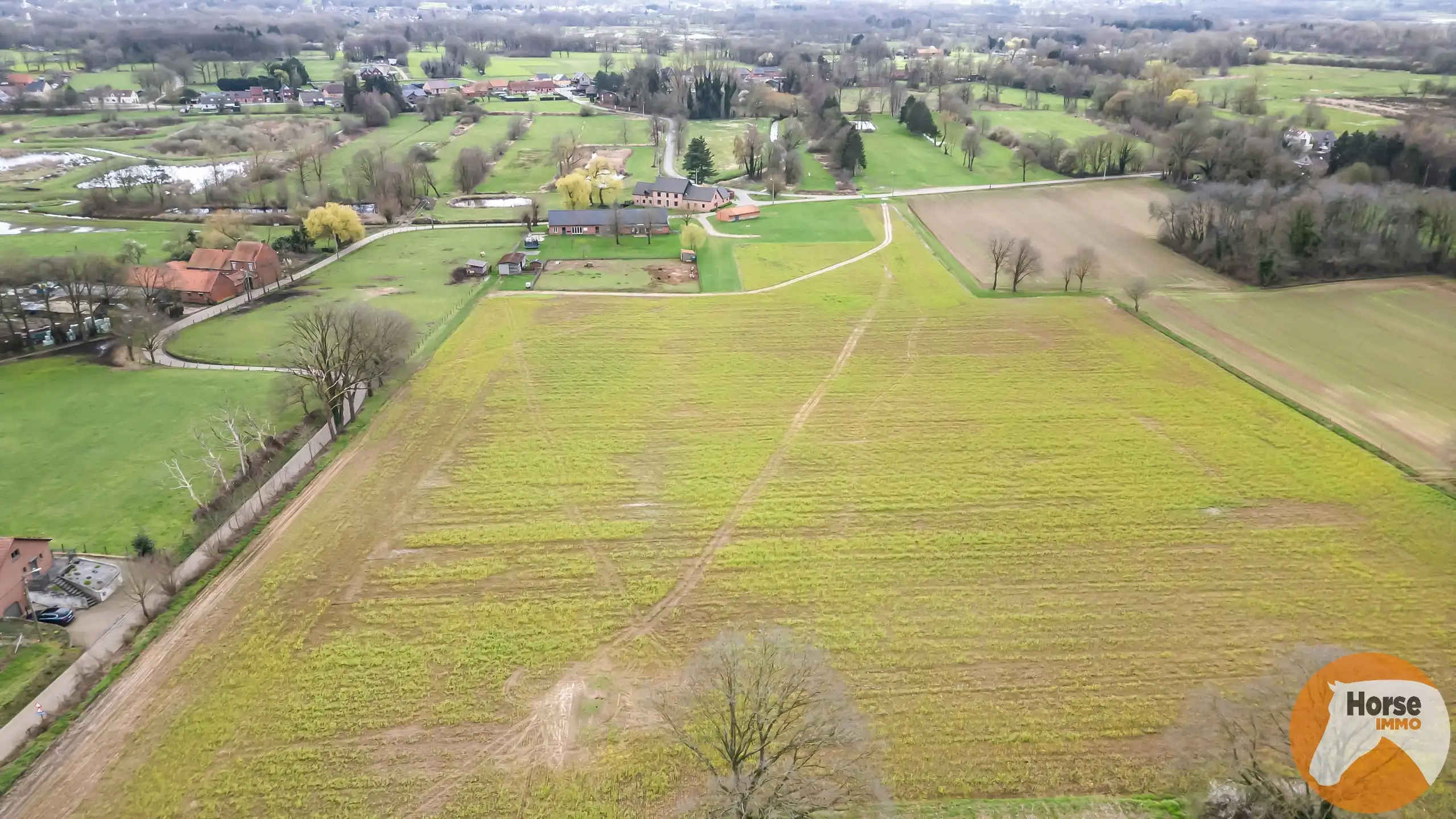 PAAL - Landelijk doch centraal gelegen langgevelhoeve op 5ha2  foto 20