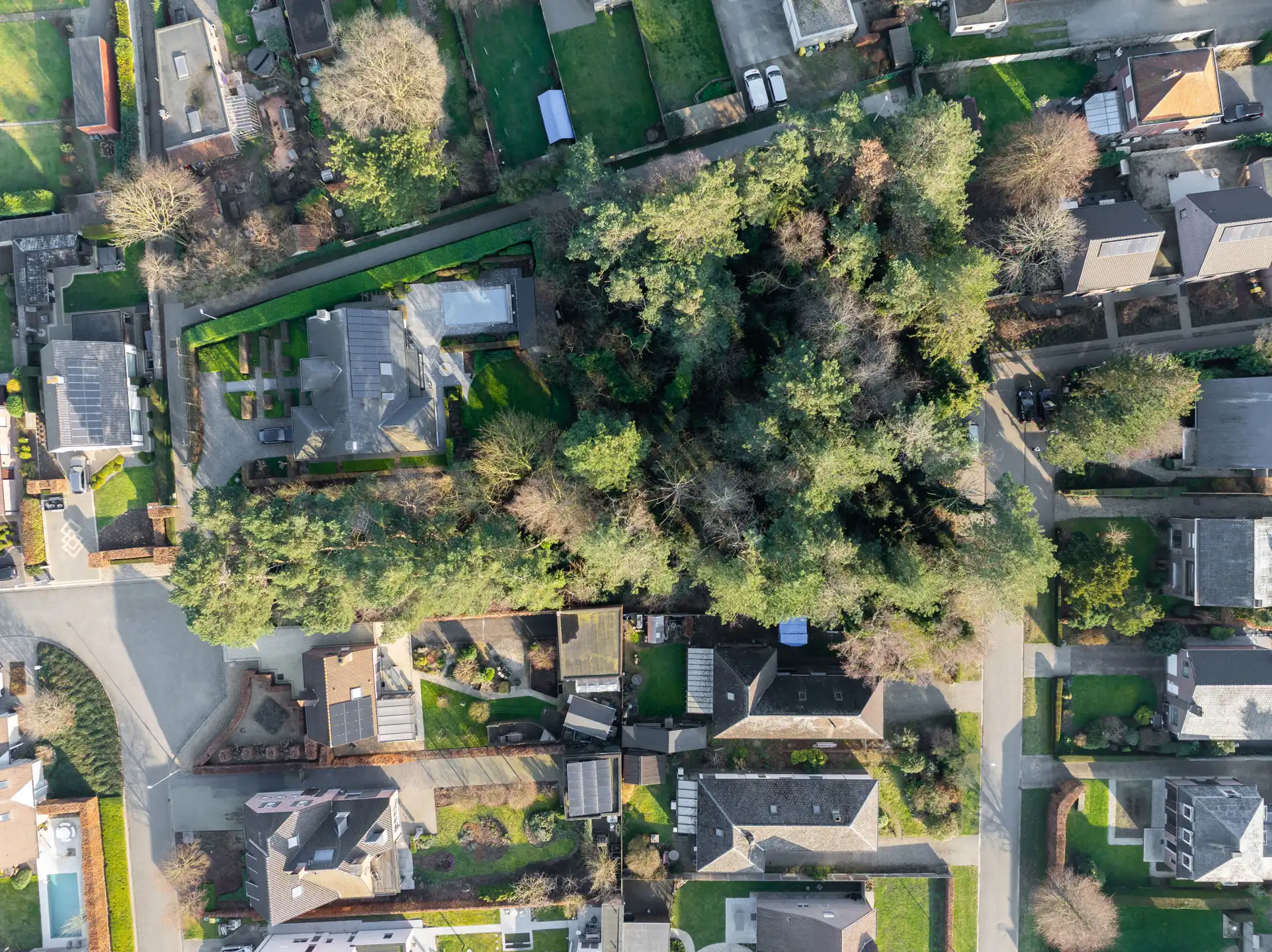 Prachtige bouwgrond van 735m² in een doodlopende straat.  foto 8