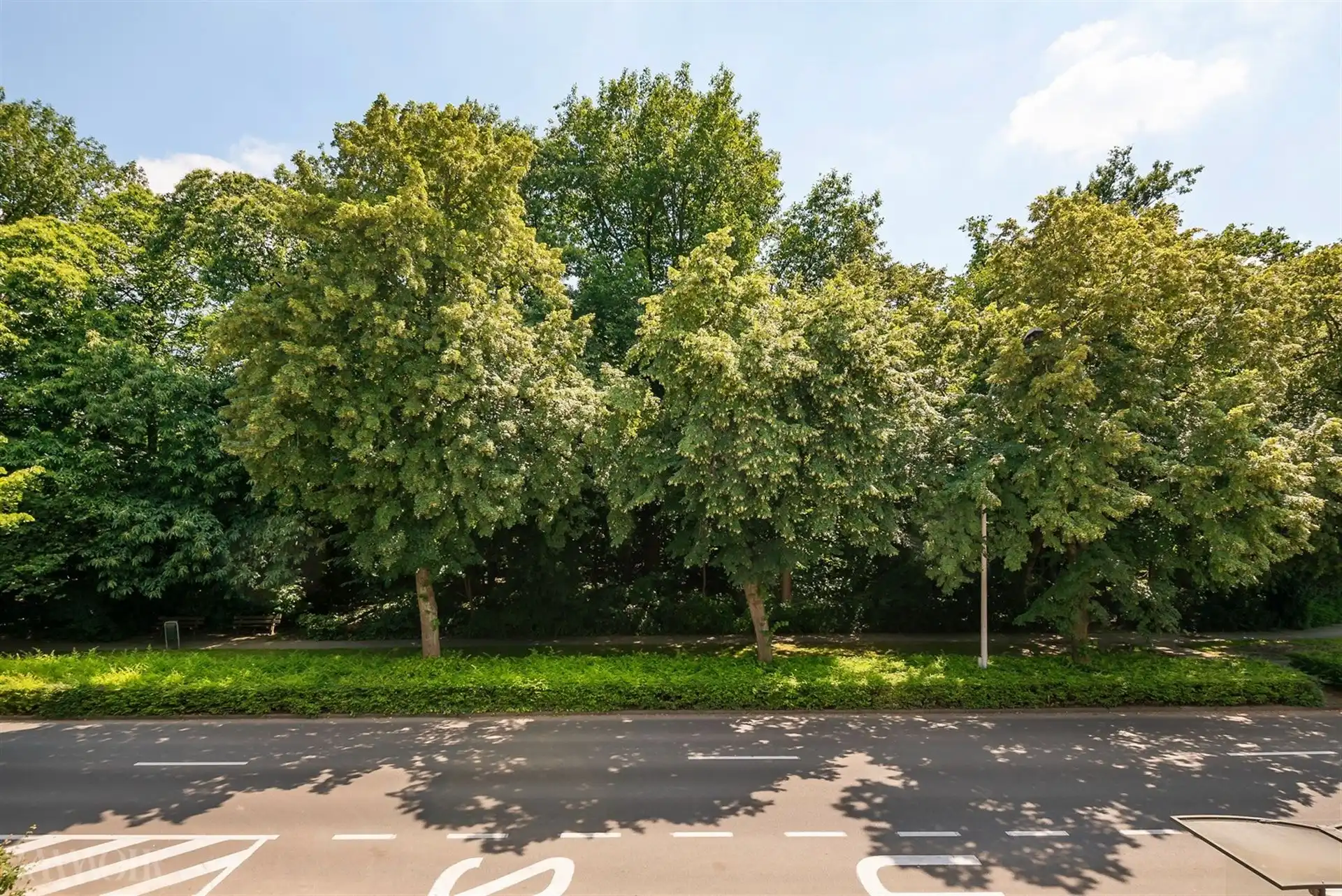 Bouwgrond voor eengezinswoning te koop in Schoten. foto 5