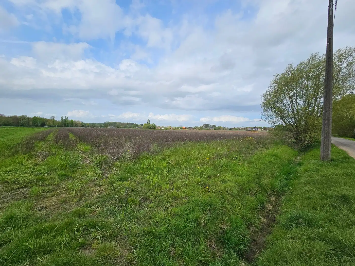 Grond te koop Grote Spekstraat zn 0 - - 3020 Veltem-Beisem