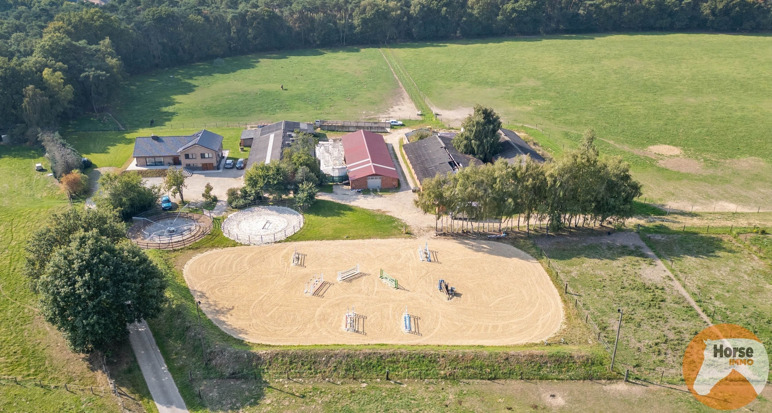 OUDSBERGEN - Prachtig gelegen woning met loodsen op 2ha5 foto {{pictureIndex}}