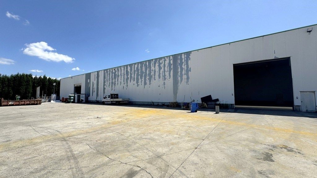 Loods met 1 hectare buitenopslag te huur in Rumst foto 8