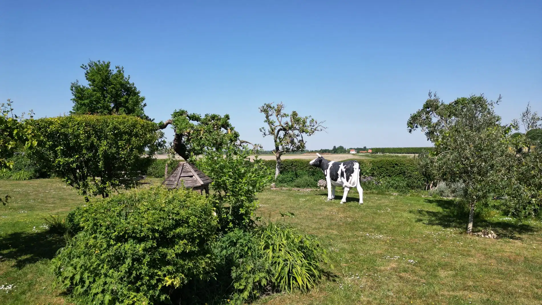 Charme en idylle nabij Sluis foto 38