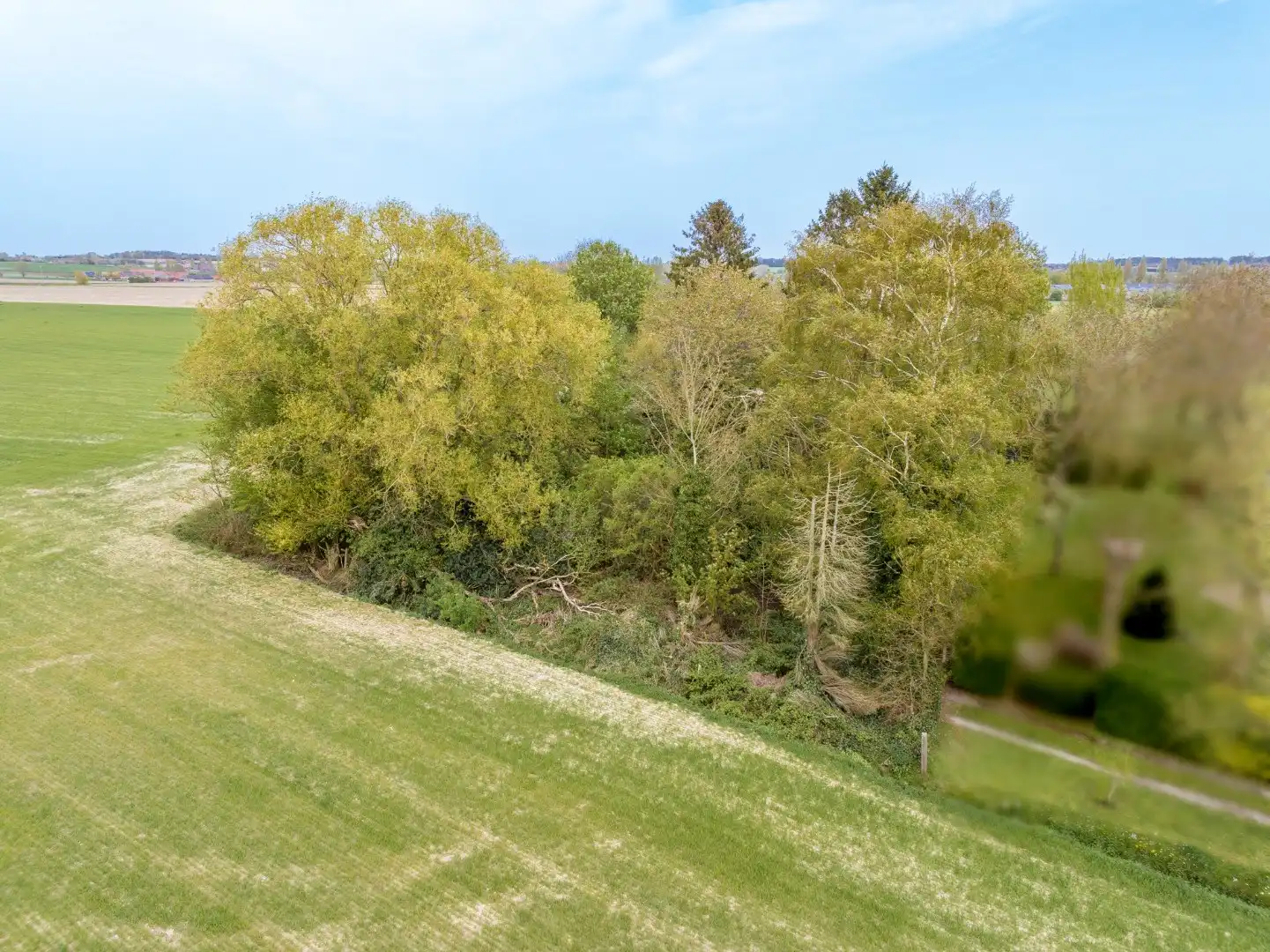 Charmant gelegen eigendom op een perceel van 2.390 m² te koop in het landelijke Rollegem foto 12