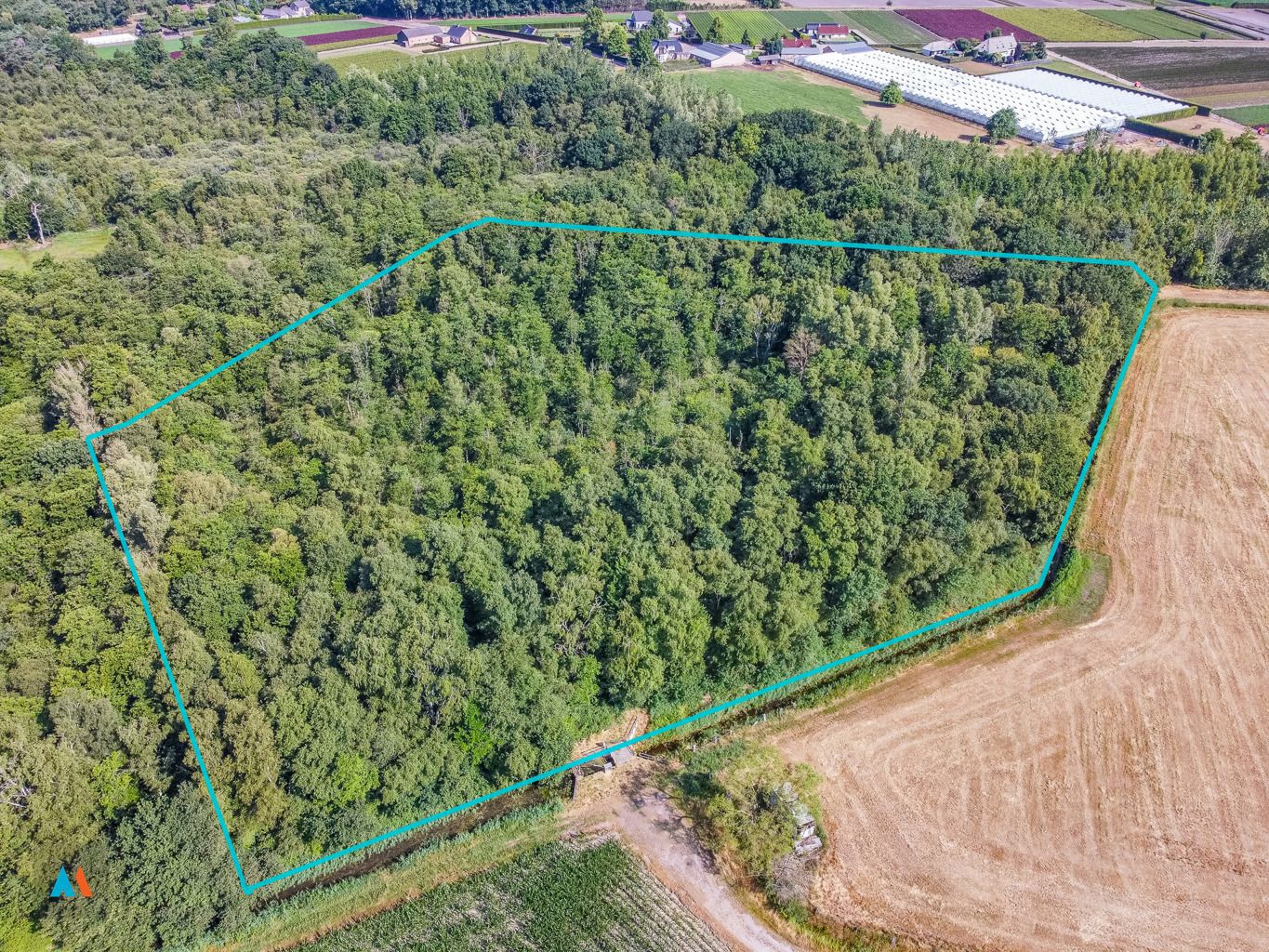 Perceel natuurgrond foto 2