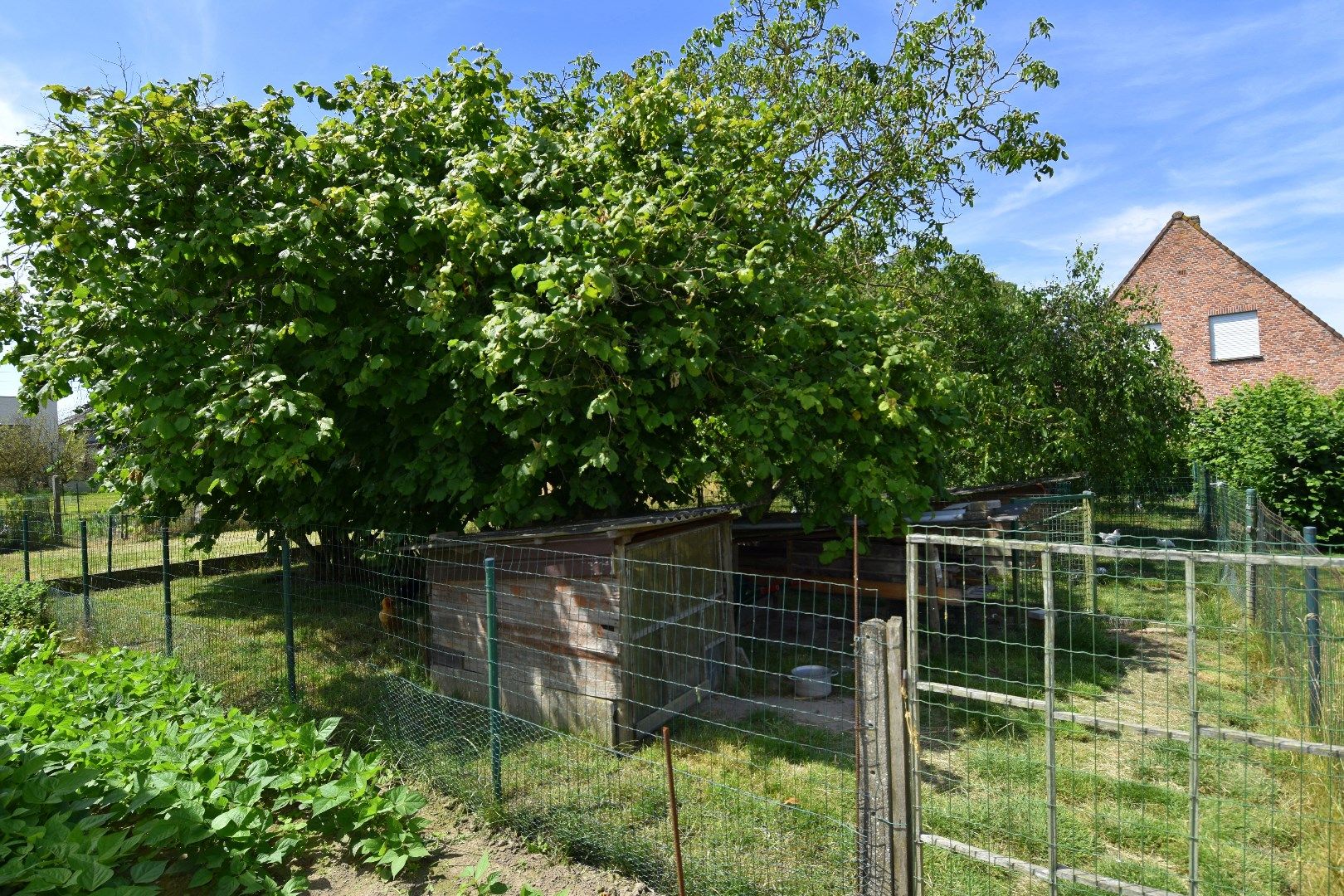 Instapklare HOB met 3 slaapkamers, garage, zolder op een perceel van 1329 m² te Sint-Eloois-Winkel foto 24