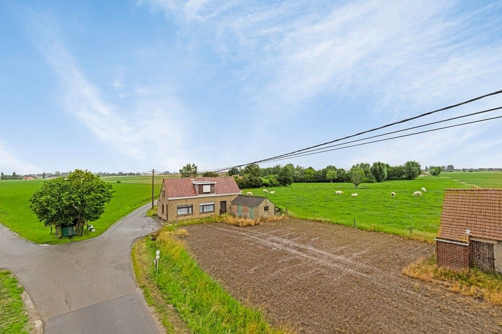 ALVERINGEM: Voormalige herberg "De Rustplaats" waar grazende koeien Uw dichtste buur zijn in een weids en open landschap op 1.000m² grondoppervlakte foto 2