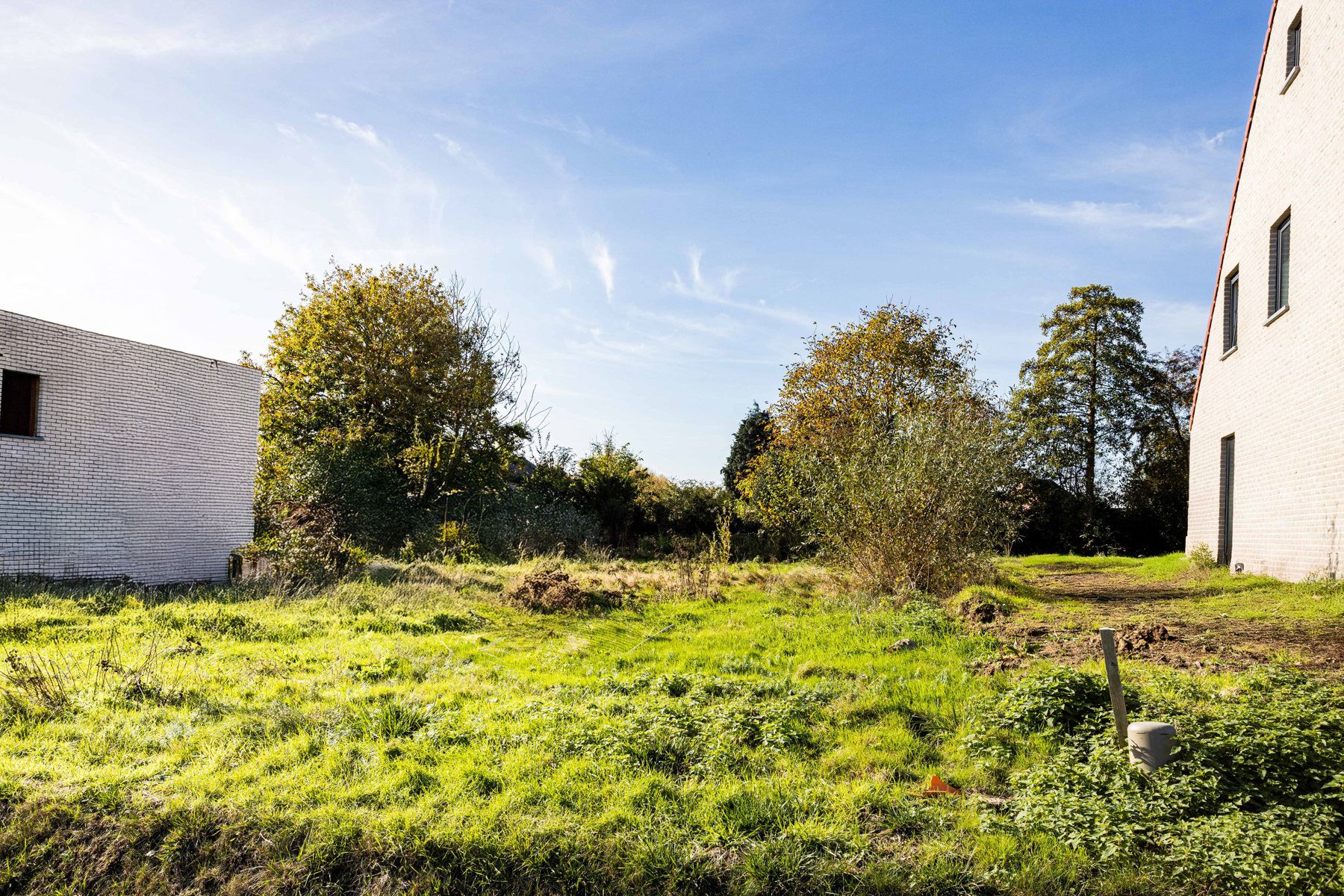 Nieuw te bouwen woning op toplocatie in Moerbeke  foto 9