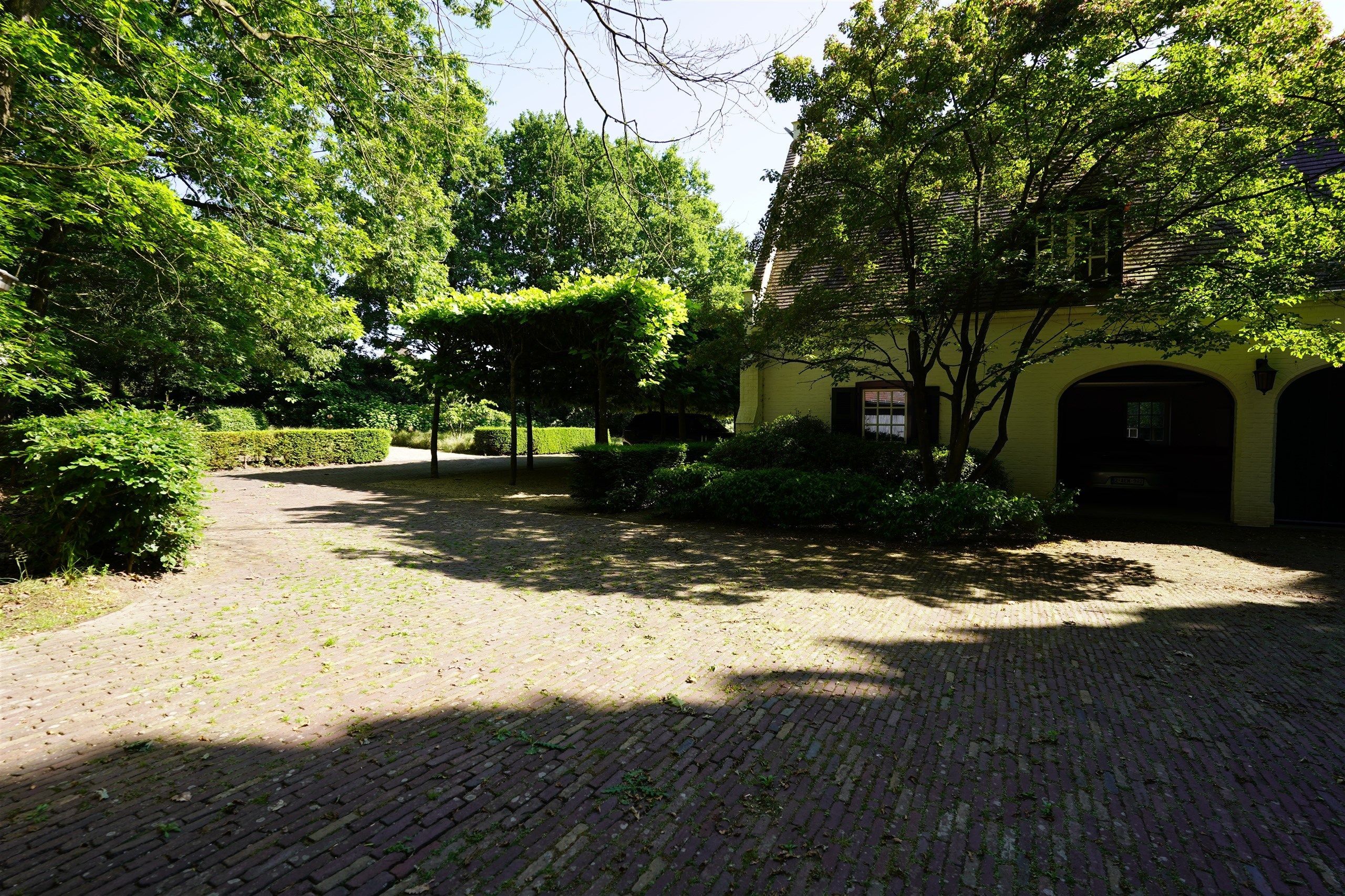 Aan Bellegem bos: Idyllische eigendom op 7.630 m² foto 9