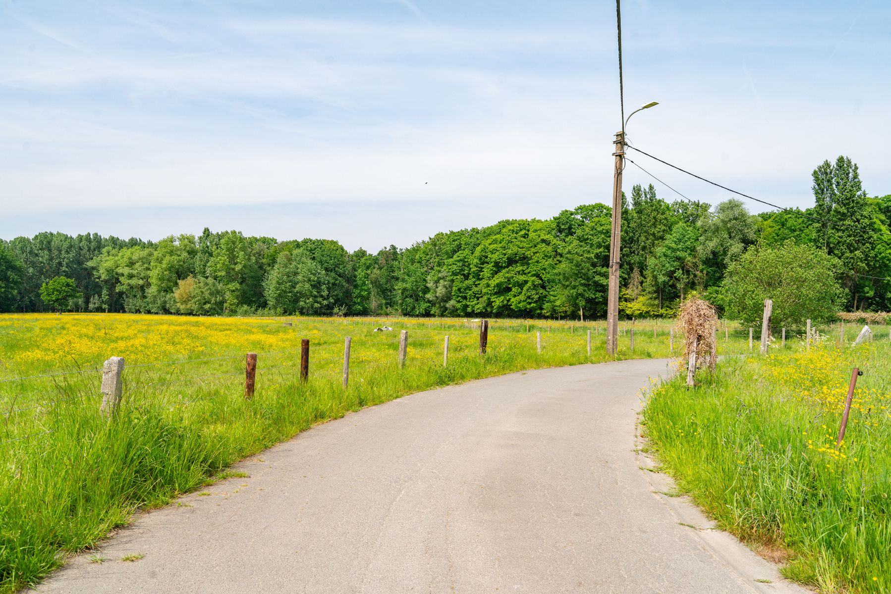 Renovatieproject op prachtige door groen omgeven ligging  foto 13