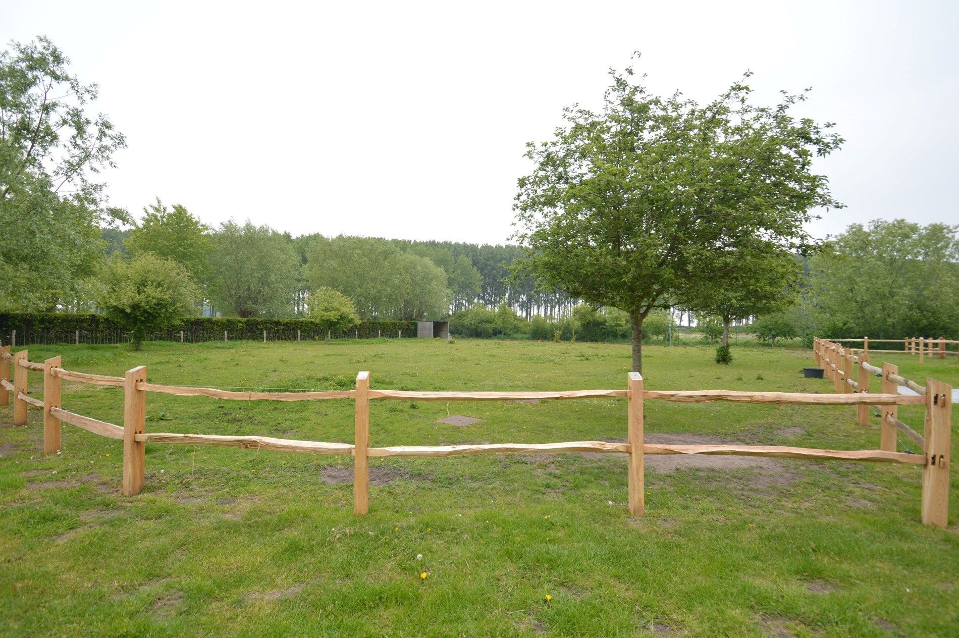 Rustig gelegen hoeve: een buitenkans voor paardenliefhebbers foto 14