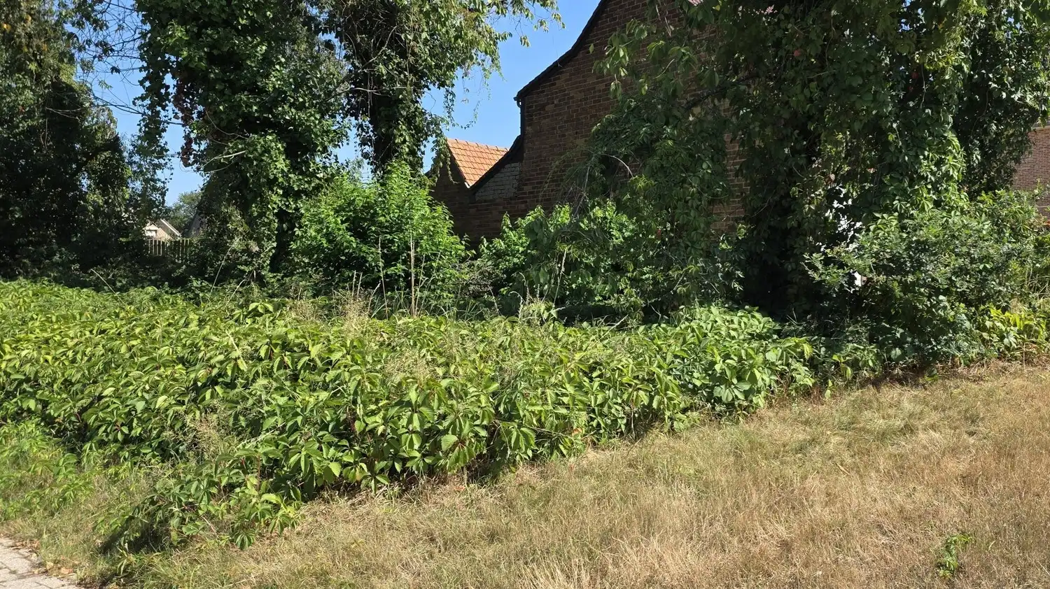 Bouwgrond in Genk – Oud-Waterschei (Winkelstraat) – topligging voor halfopen bebouwing foto 3