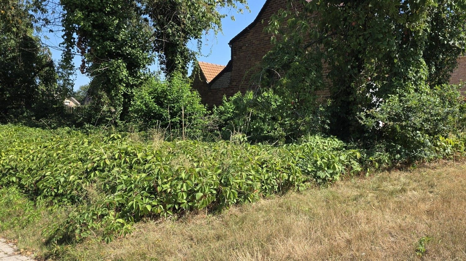 Bouwgrond in Genk – Oud-Waterschei (Winkelstraat) – topligging voor halfopen bebouwing foto 3