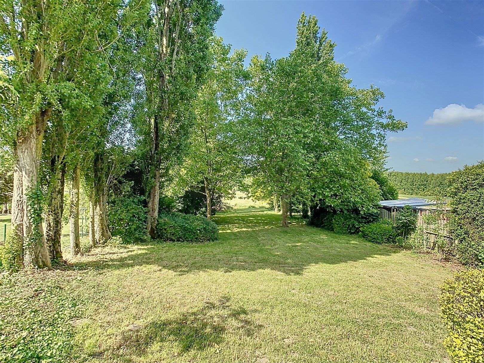 Ruime op te frissen woning, 4 slpks, tuin, weide, 46a 81ca foto 7