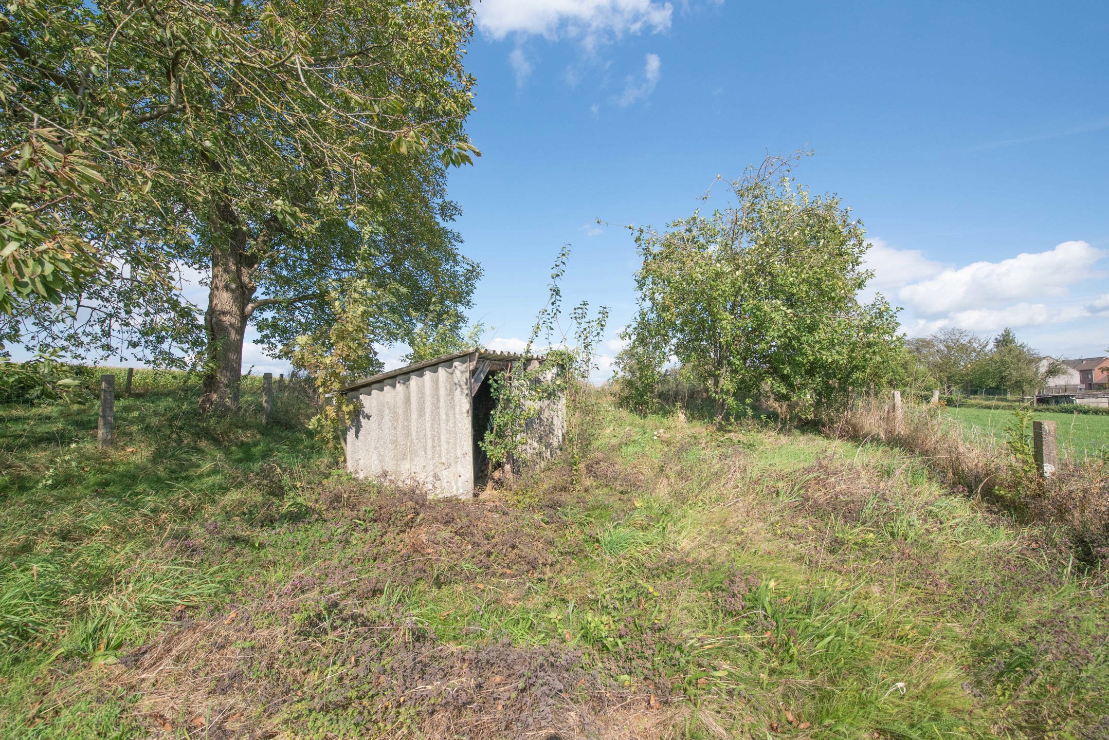 Halfopen gezinswoning in het landelijke Zussen foto 15