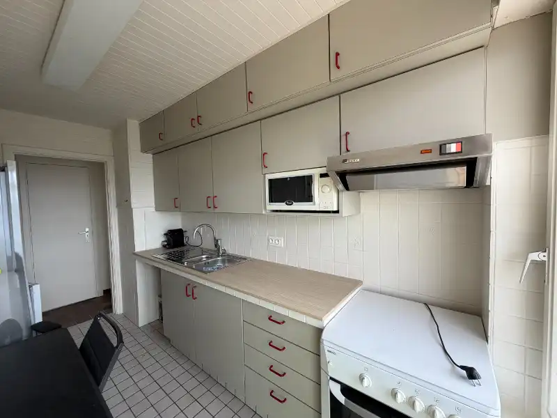 RUIM EN LICHTRIJK APPARTEMENT MET ZONNIG TERRAS EN UNIEK UITZICHT OVER GENT foto 6