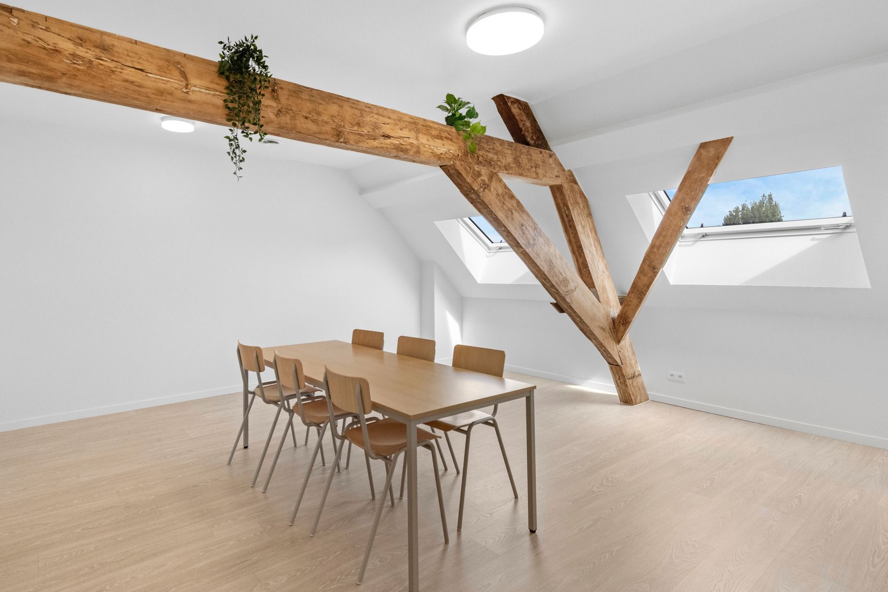 Nieuwe, verhuurde studentenhuisvesting te koop! foto 7