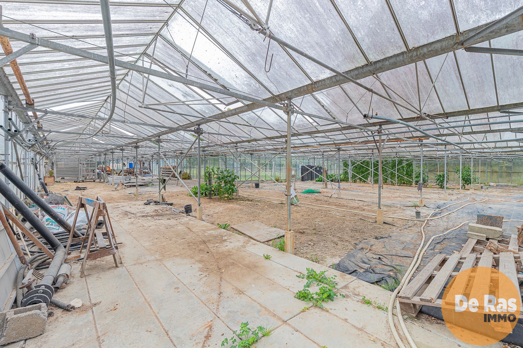 ERPE-MERE - Goed onderhouden woning met magazijn en serres foto 25