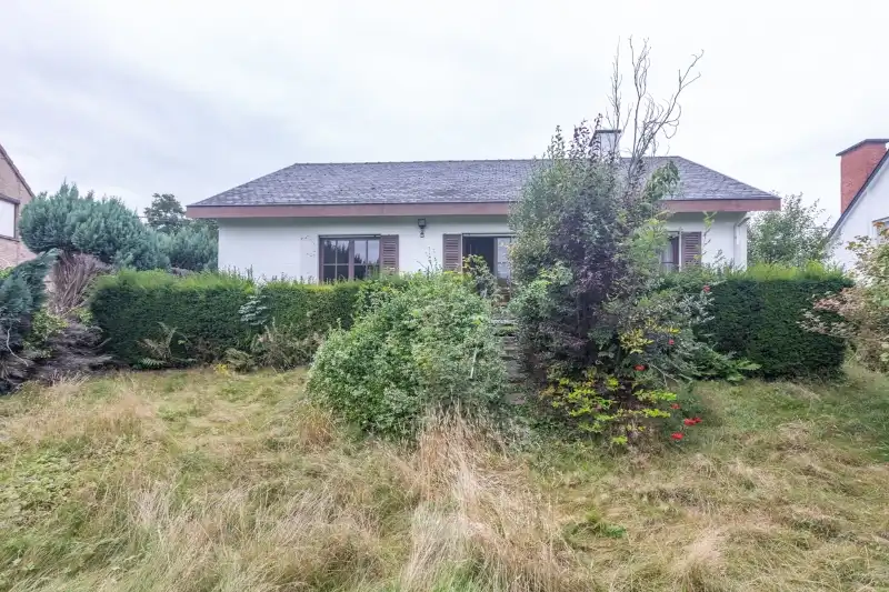 Rodenburg: Te renoveren alleenstaande wonig met 3 slaapkamers en dubbele garage op 558m² (elekrische keuring zonder inbreuken). foto 11