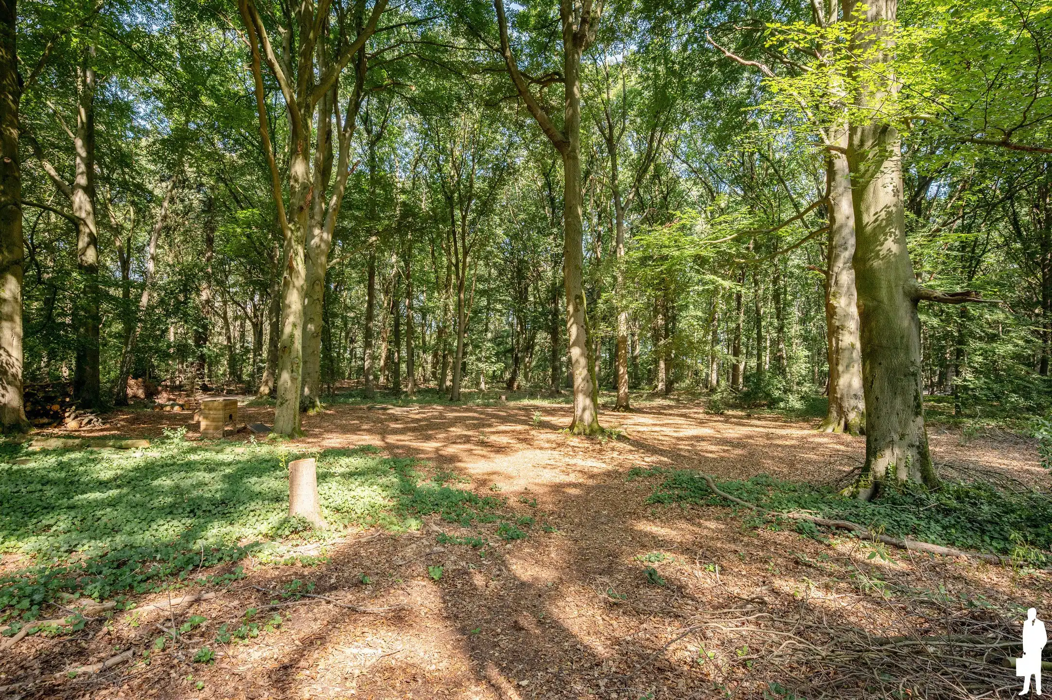 Charmante woning met volledige onderkeldering en achterliggend bos van ca. 31.493 m² foto 44