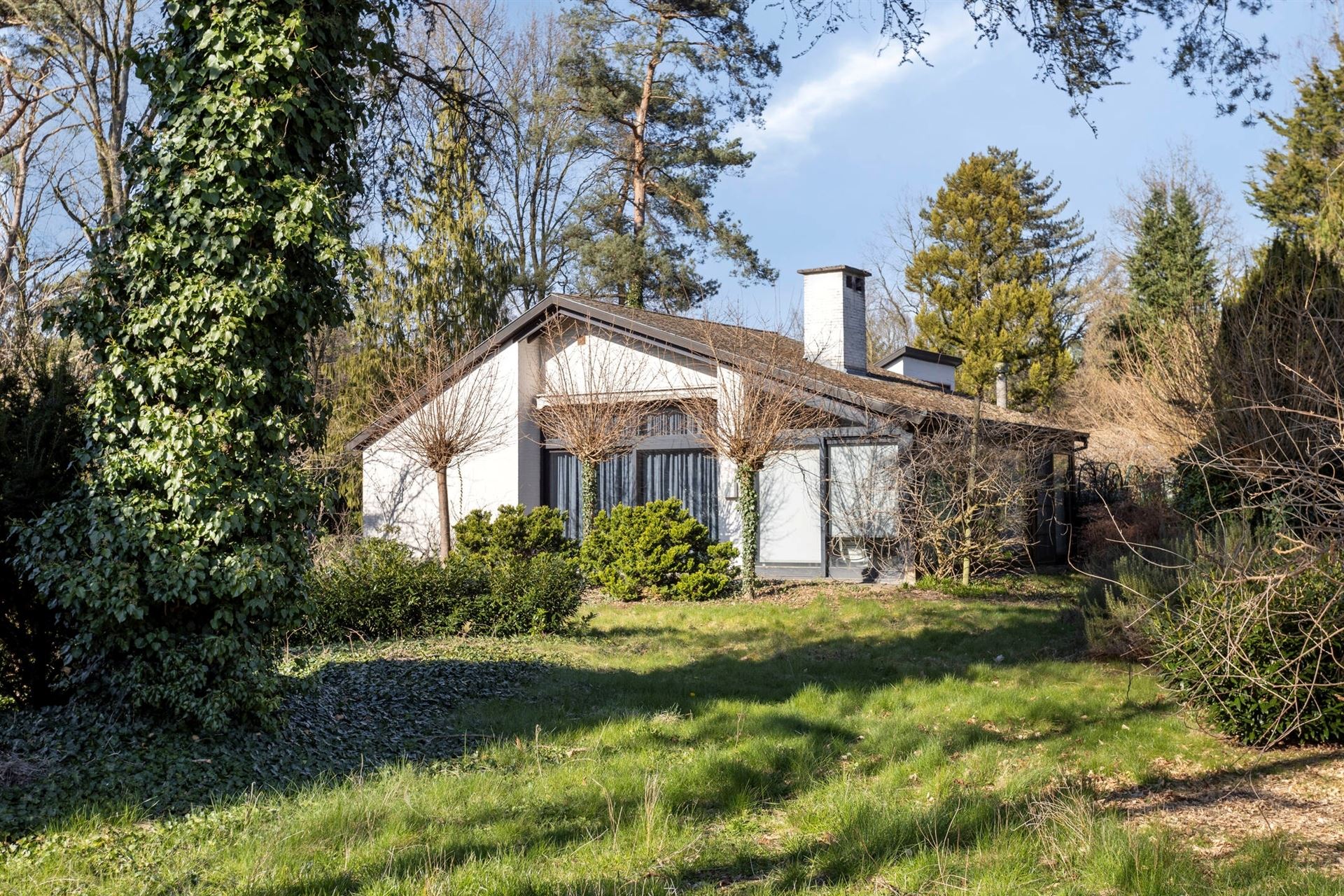 Te renoveren woning op prachtig perceel in rustige wijk foto 2