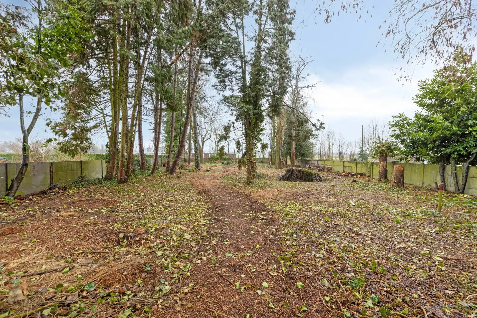 Gerenoveerde woning te koop in Klein-Vorst, Laakdal foto 28