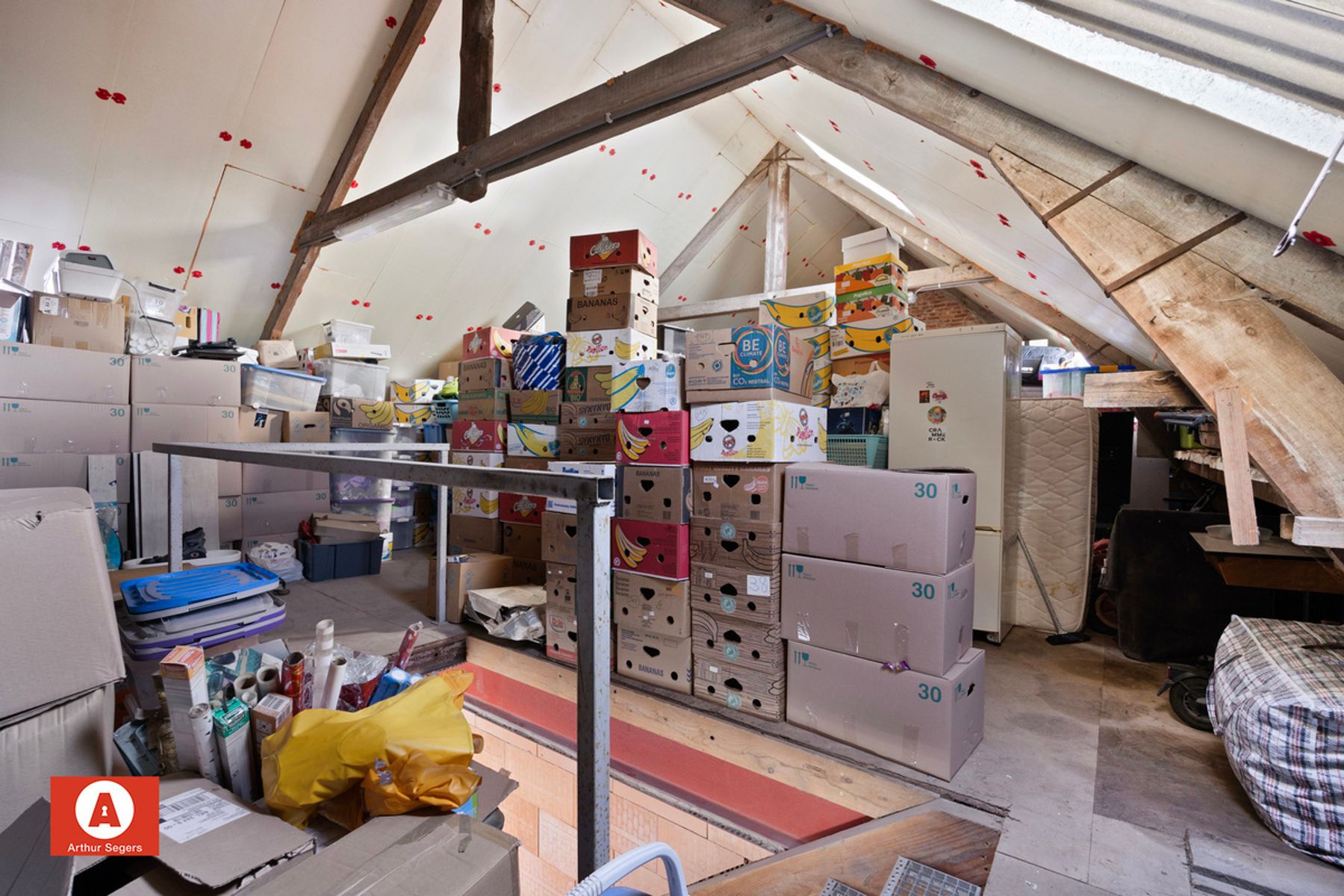 Loods/Berging in Lebbeke  foto 6