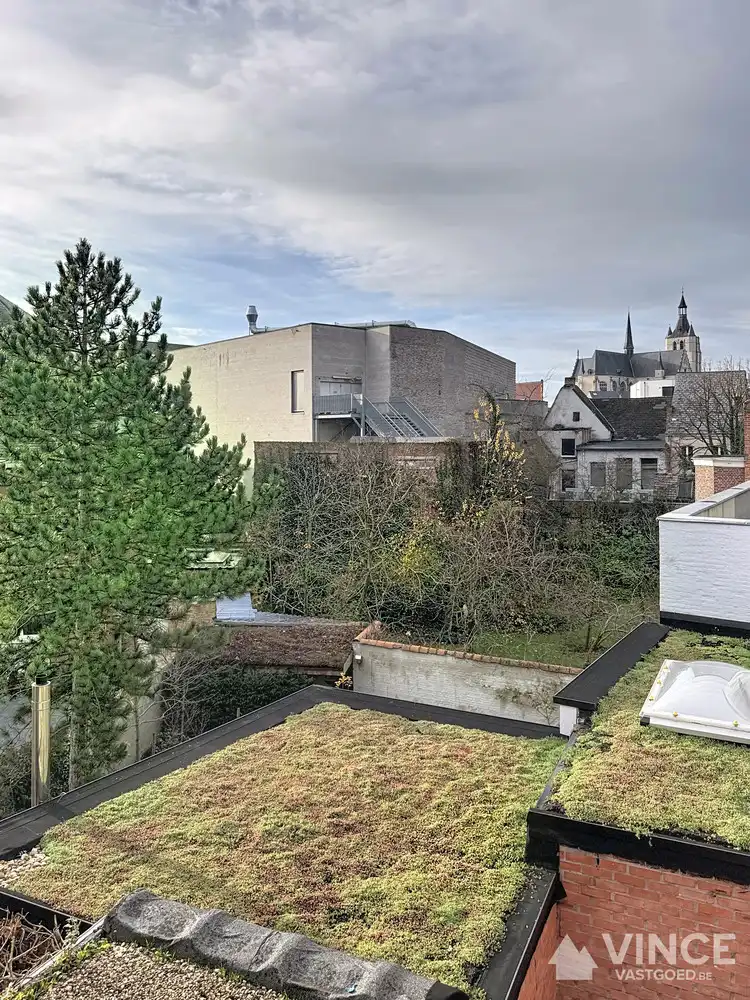 Charmante, volledig gerenoveerde woning in het hart van Mechelen foto 21