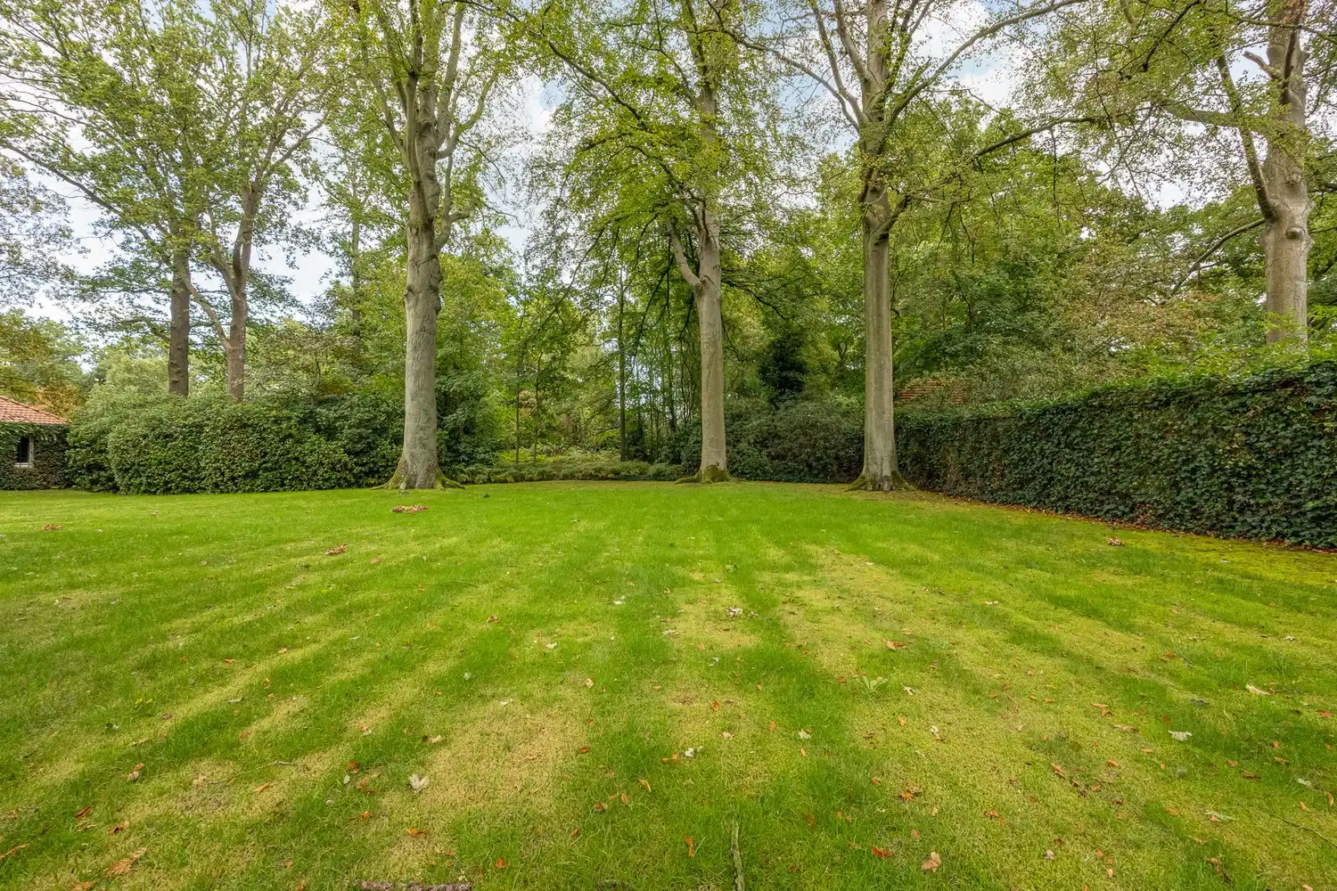 Karaktervolle te renoveren rietgedekte villa op een uitzonderlijk parkdomein van 13.670 m² in Vriesdonk (inclusief bouwgrond van ca. 4.543m²!) foto 36