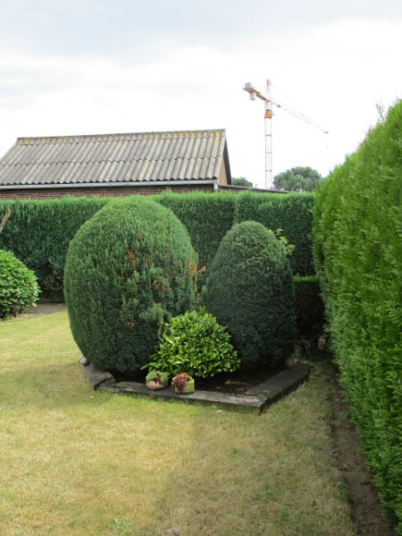 Mooie cottage woning met 3 slpk. foto 9
