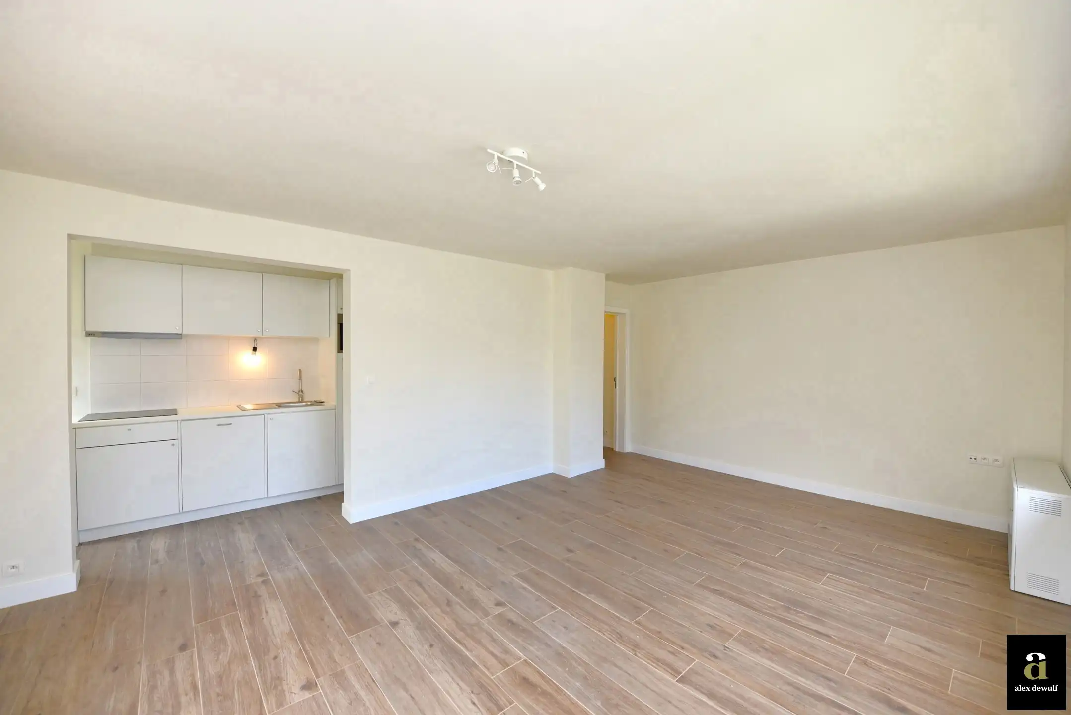 1-slaapkamerappartement met zeezicht in de Bayauxlaan. foto 2