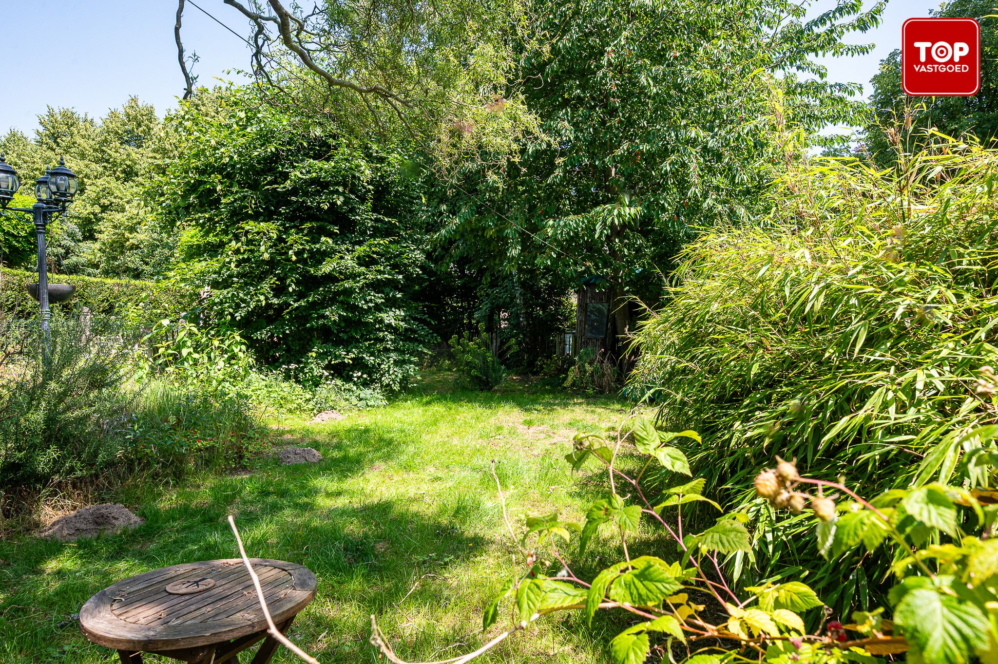 HOB met 3 slaapkamers en prachtige tuin foto 9