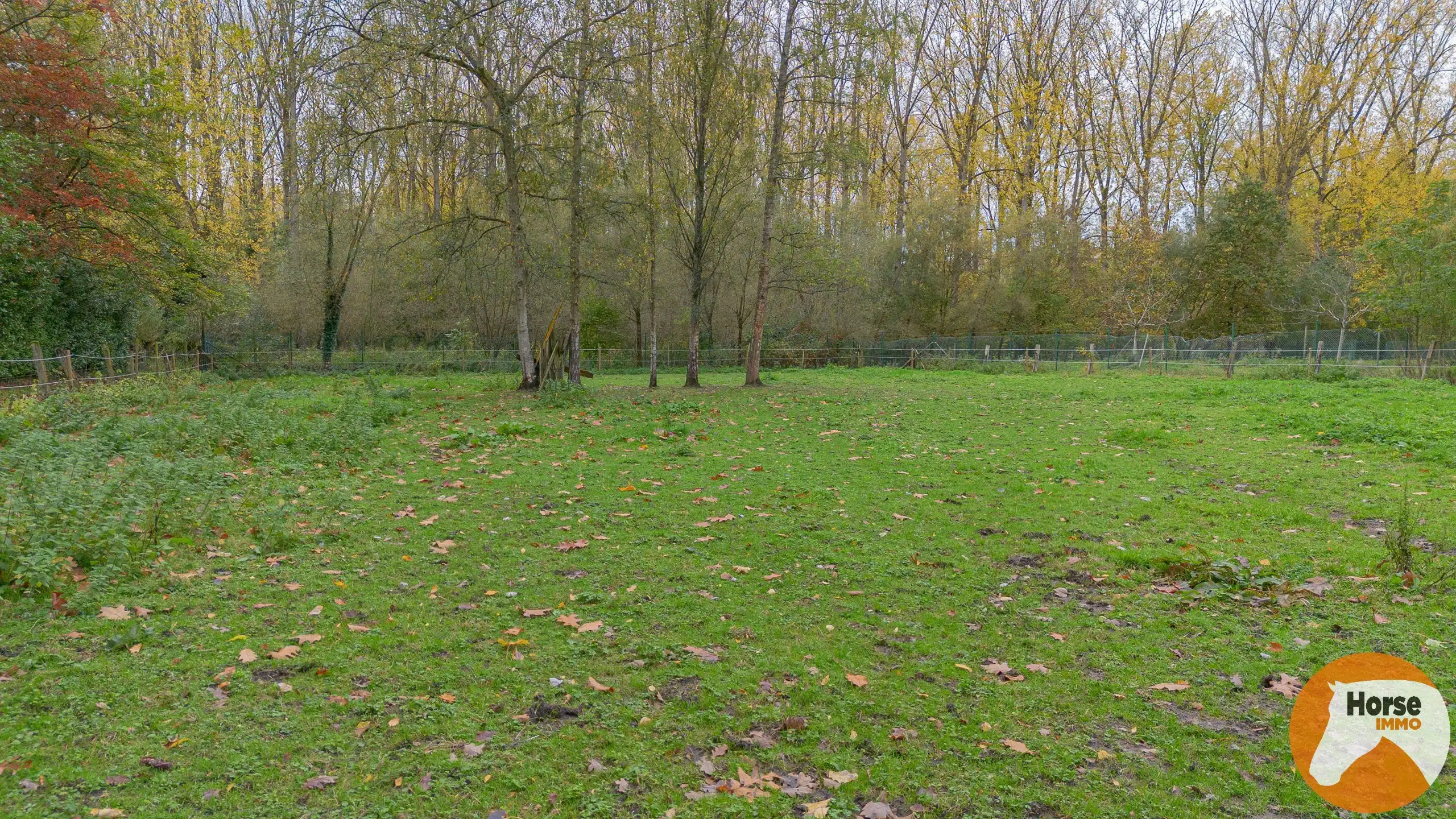 EREMBODEGEM- Ruime gezinswoning met tuin en weide  foto 32