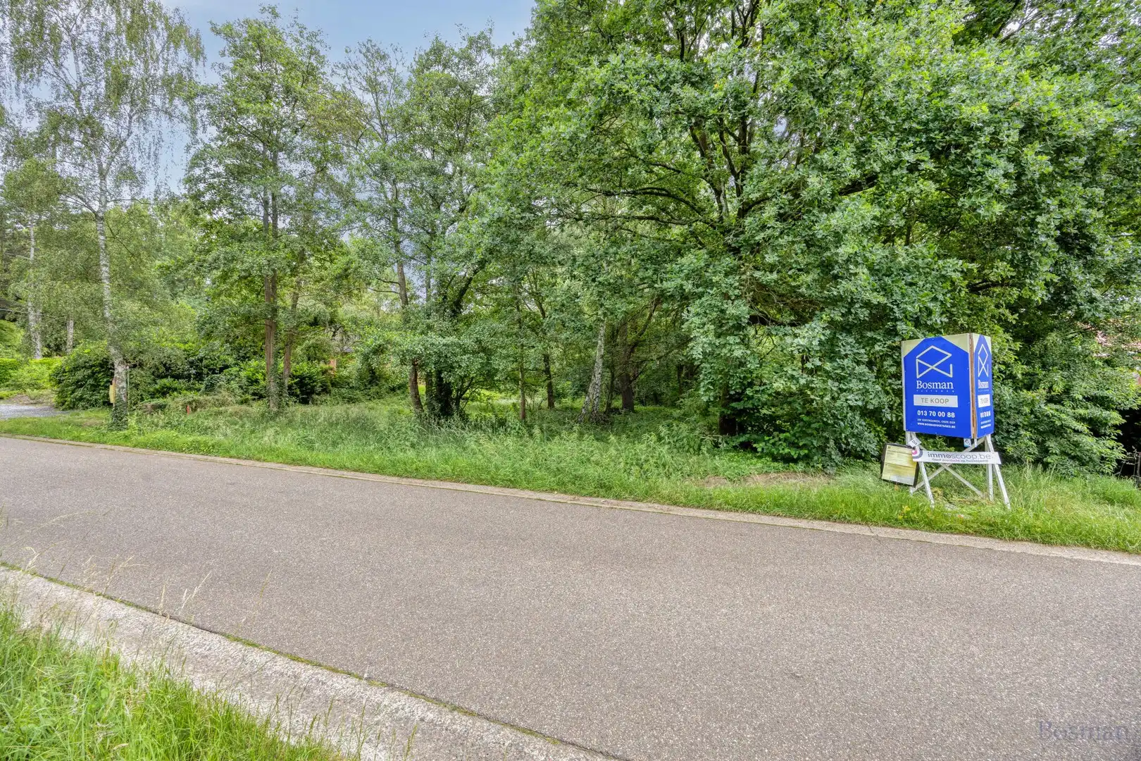 Bouwgrond op 16a 76ca te koop in Tessenderlo-Ham foto 3