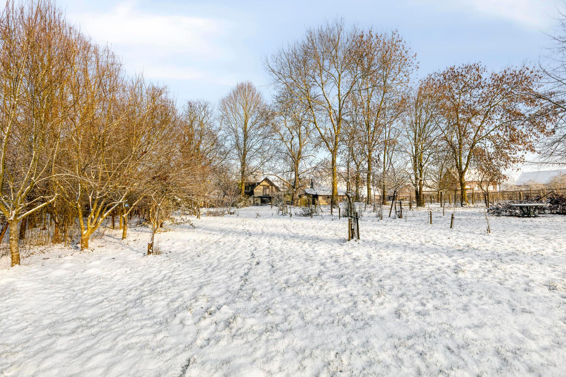 Open bebouwing op 8035 m² met idyllische ligging foto 6